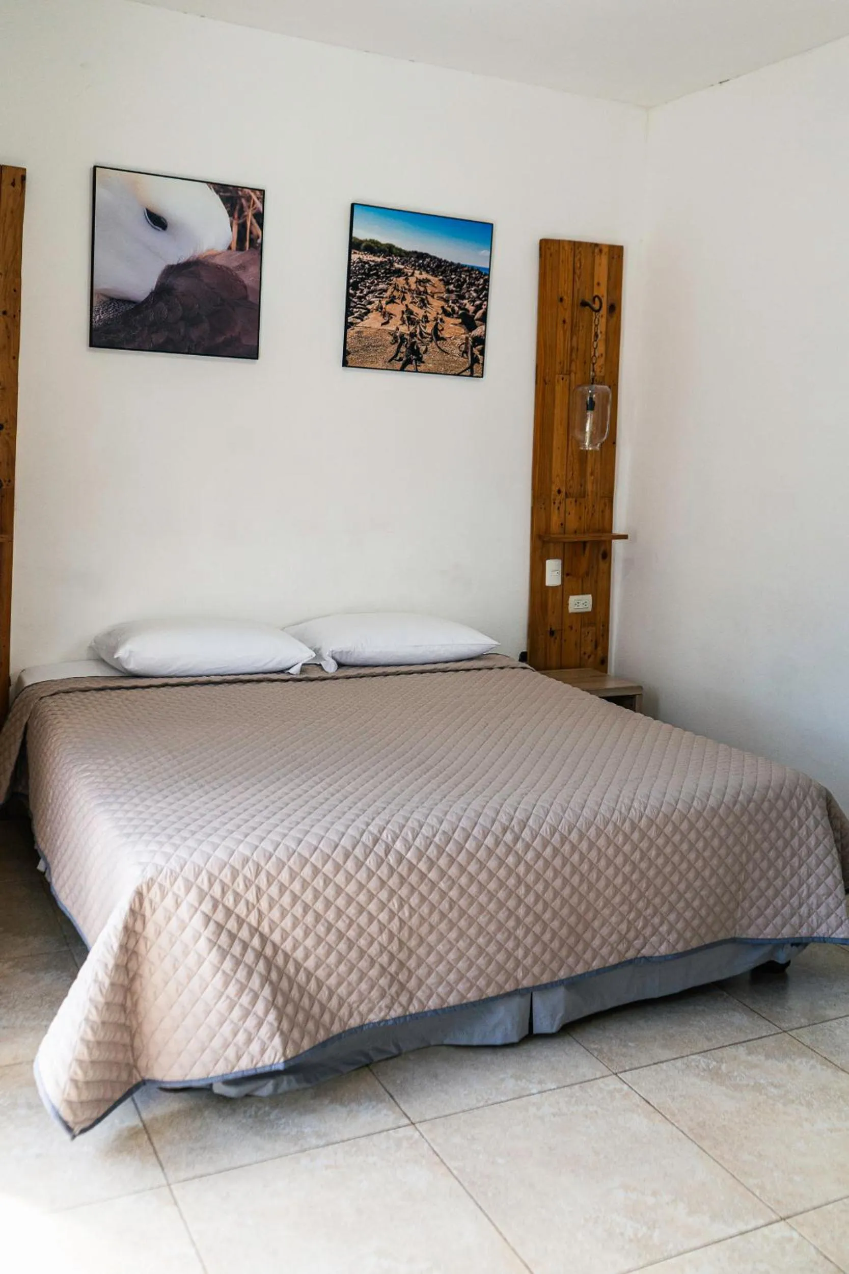 Bed in Galapagos Dreams