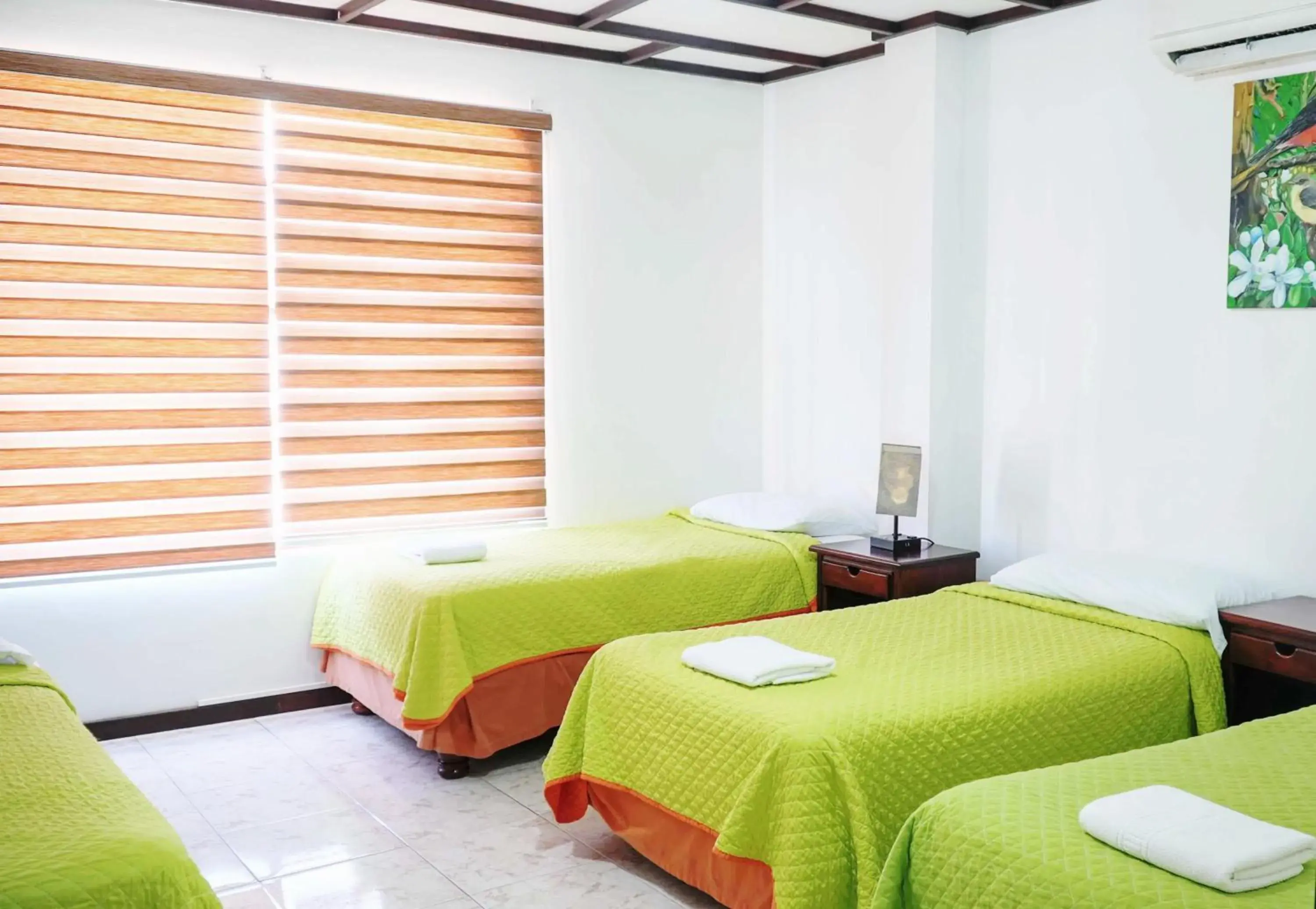 Quadruple Room in Galapagos Dreams Quadruple Room in Galapagos Dreams