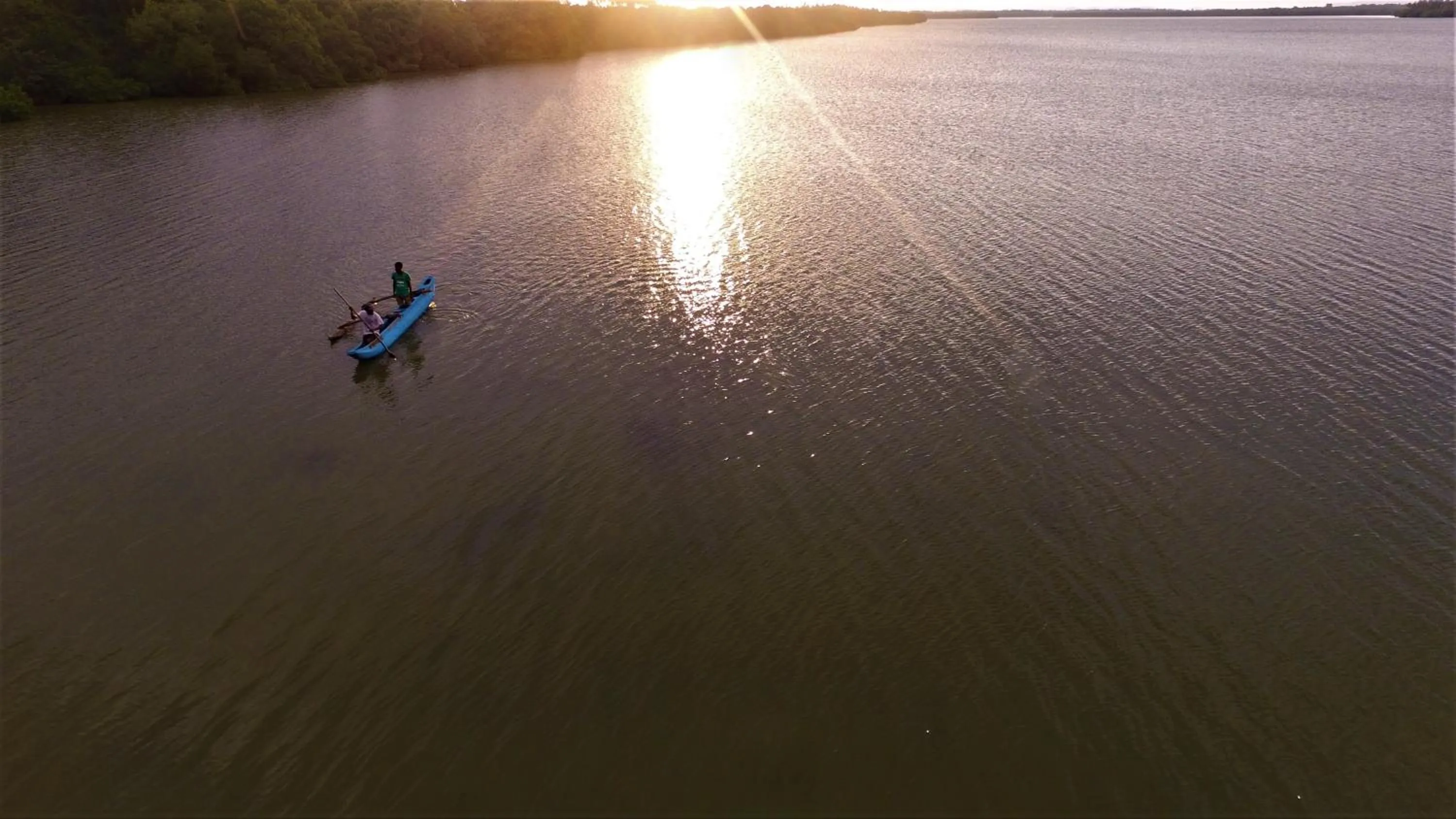 Natural landscape in Ashansa Lagoon Resort