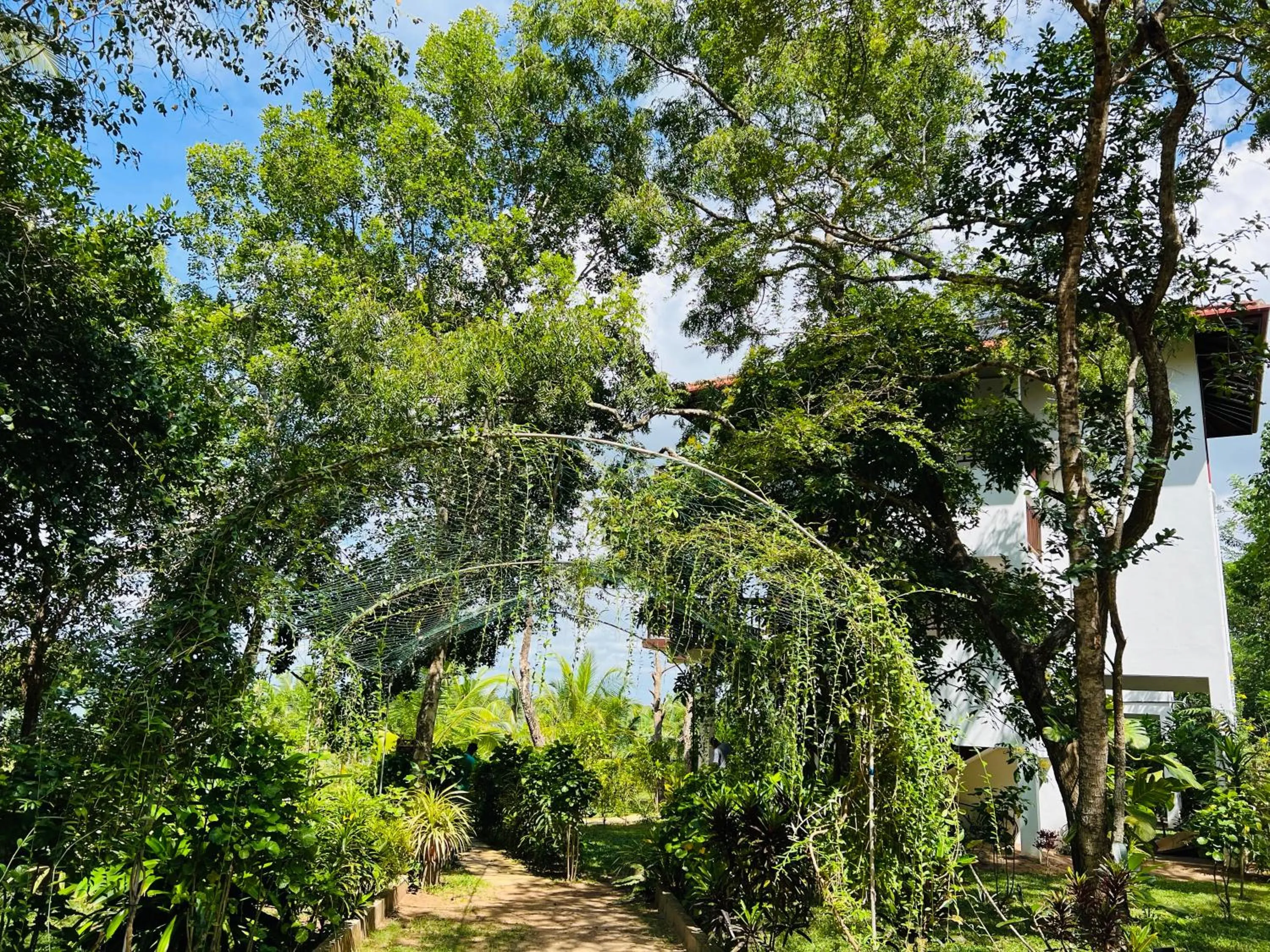 Ashansa Lagoon Resort