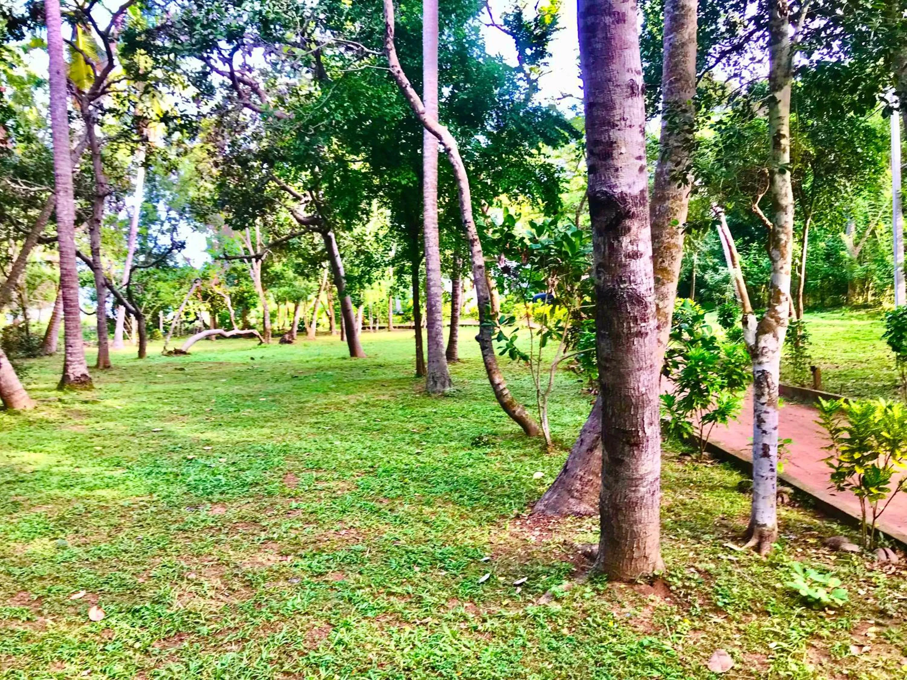 Ashansa Lagoon Resort