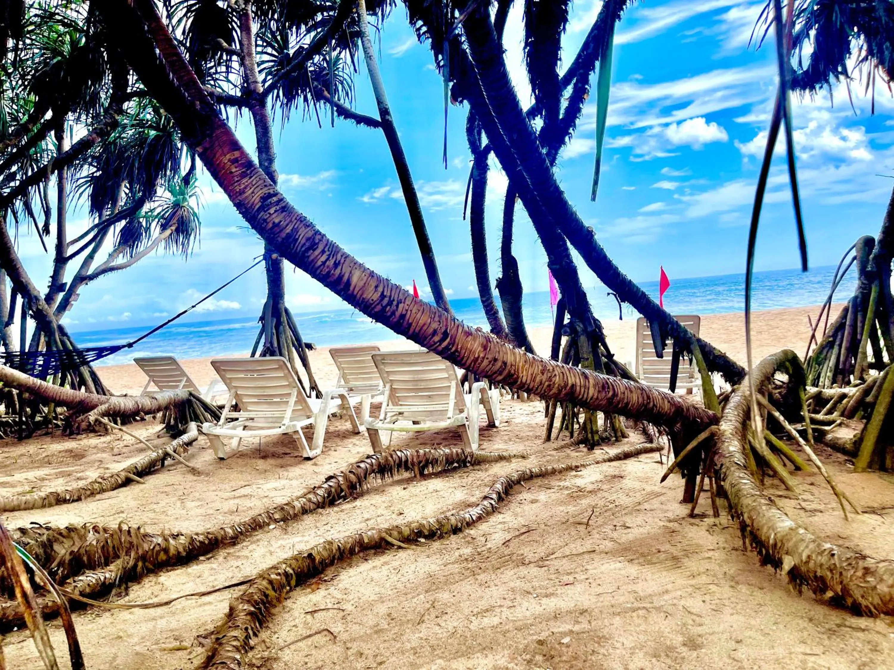 Ashansa Lagoon Resort