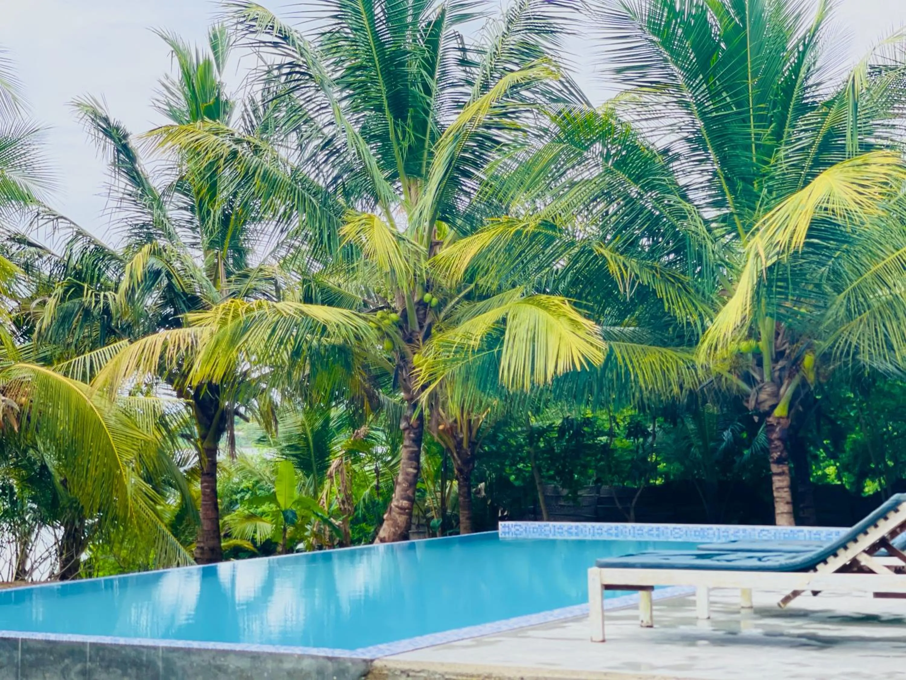 Ashansa Lagoon Resort