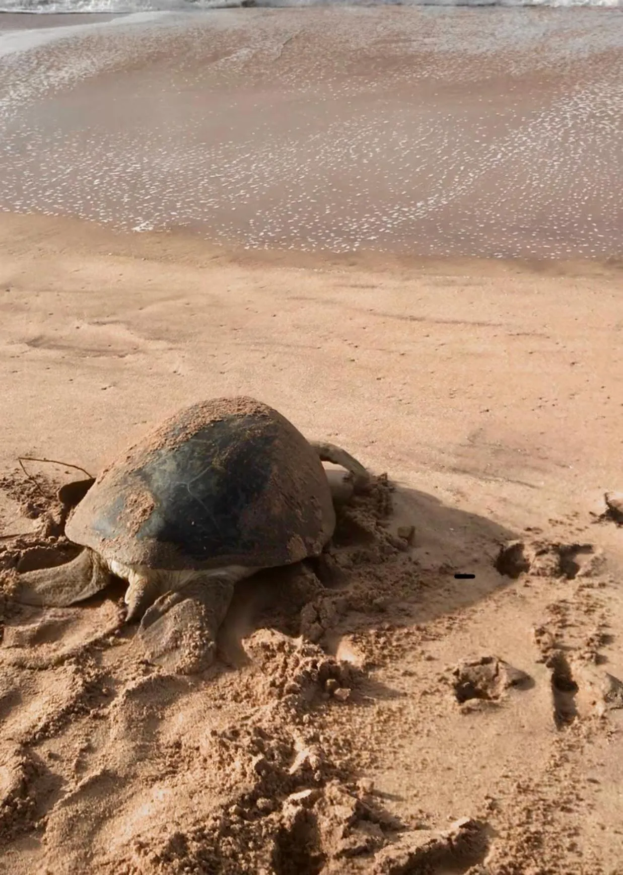 Ashansa Lagoon Resort