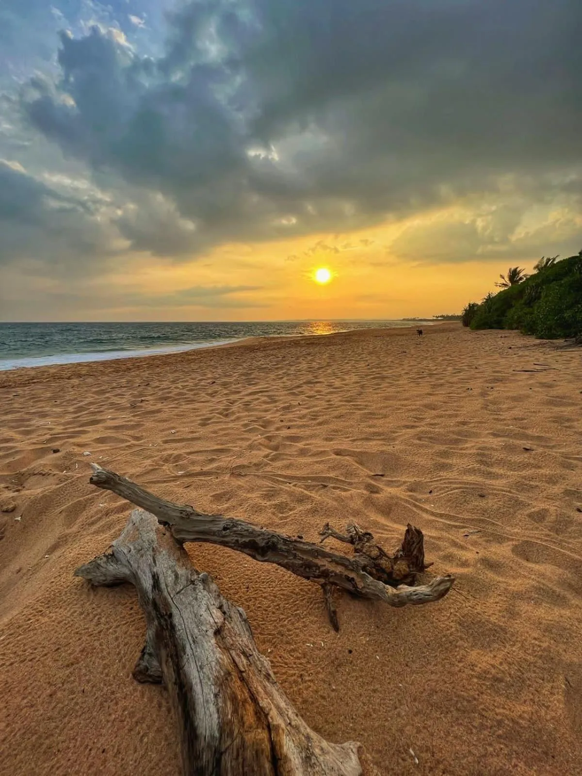 Ashansa Lagoon Resort