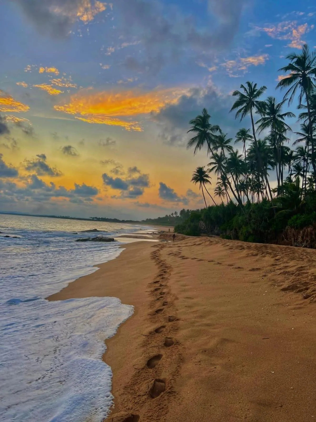 Ashansa Lagoon Resort