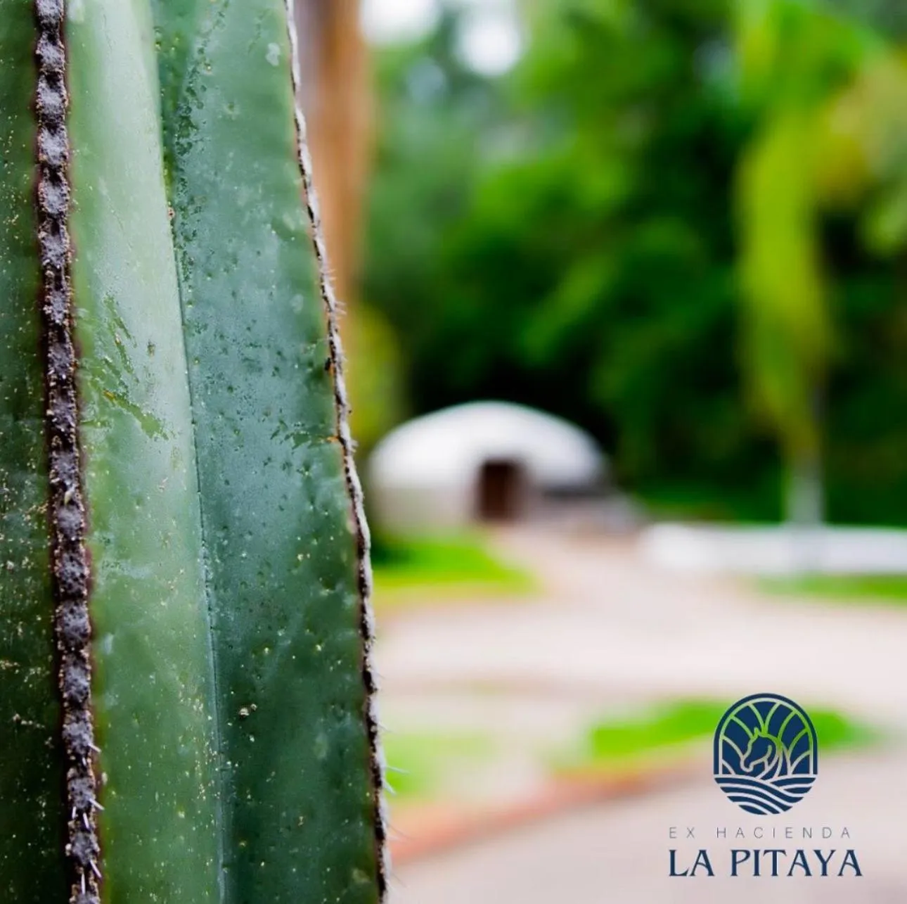 Spa and wellness centre/facilities in Hotel Ex Hacienda La Pitaya Querétaro