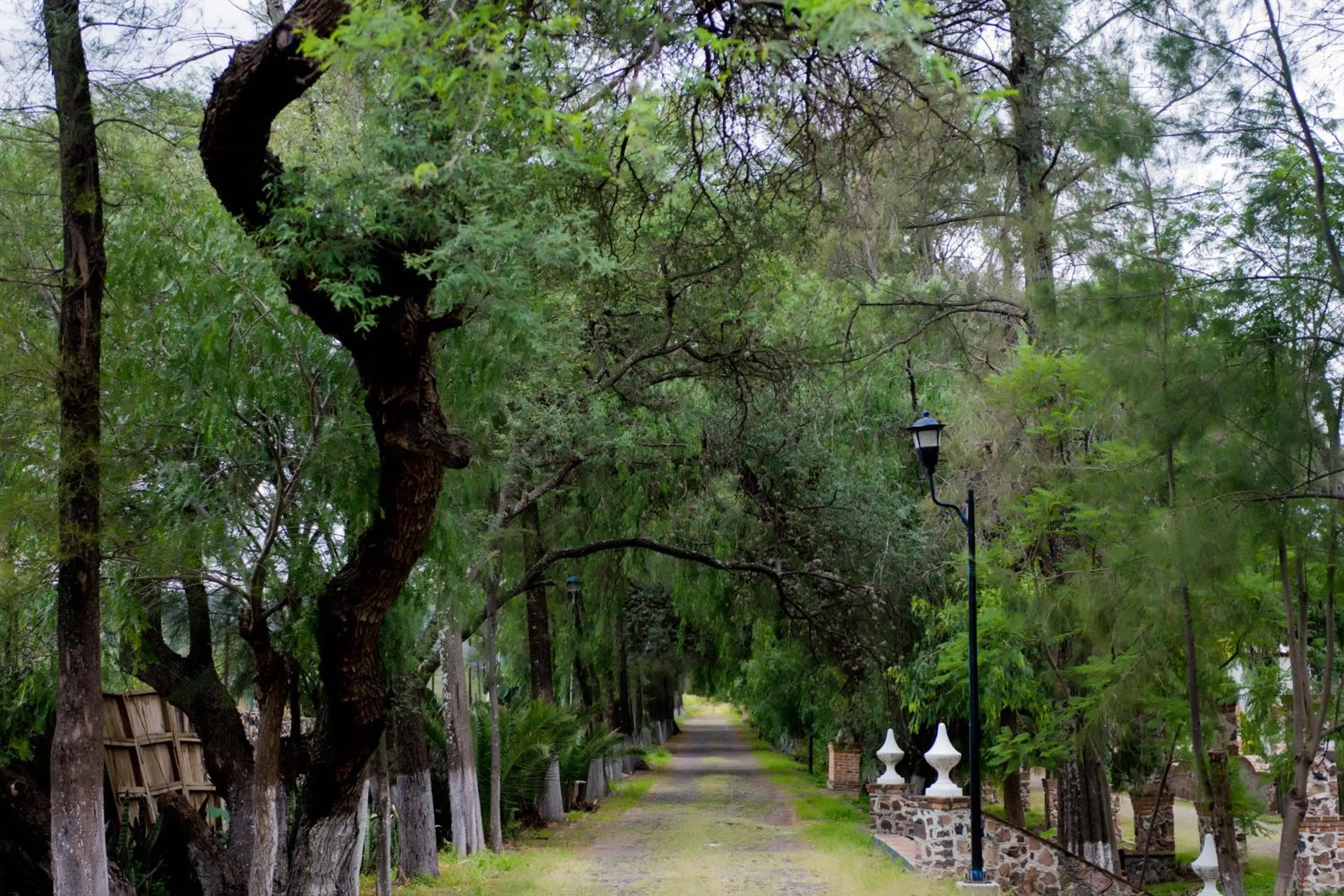 Patio in Hotel Ex Hacienda La Pitaya Querétaro