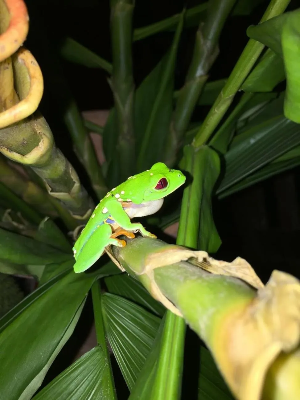 Property building in Casa Moabi