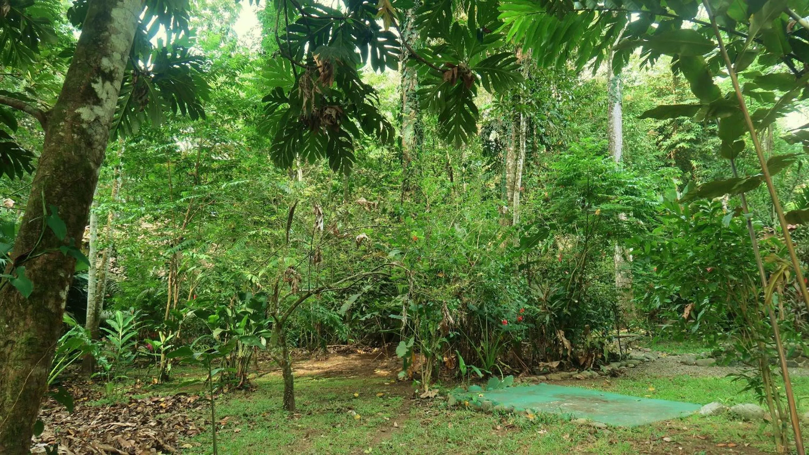 Property building in Casa Moabi