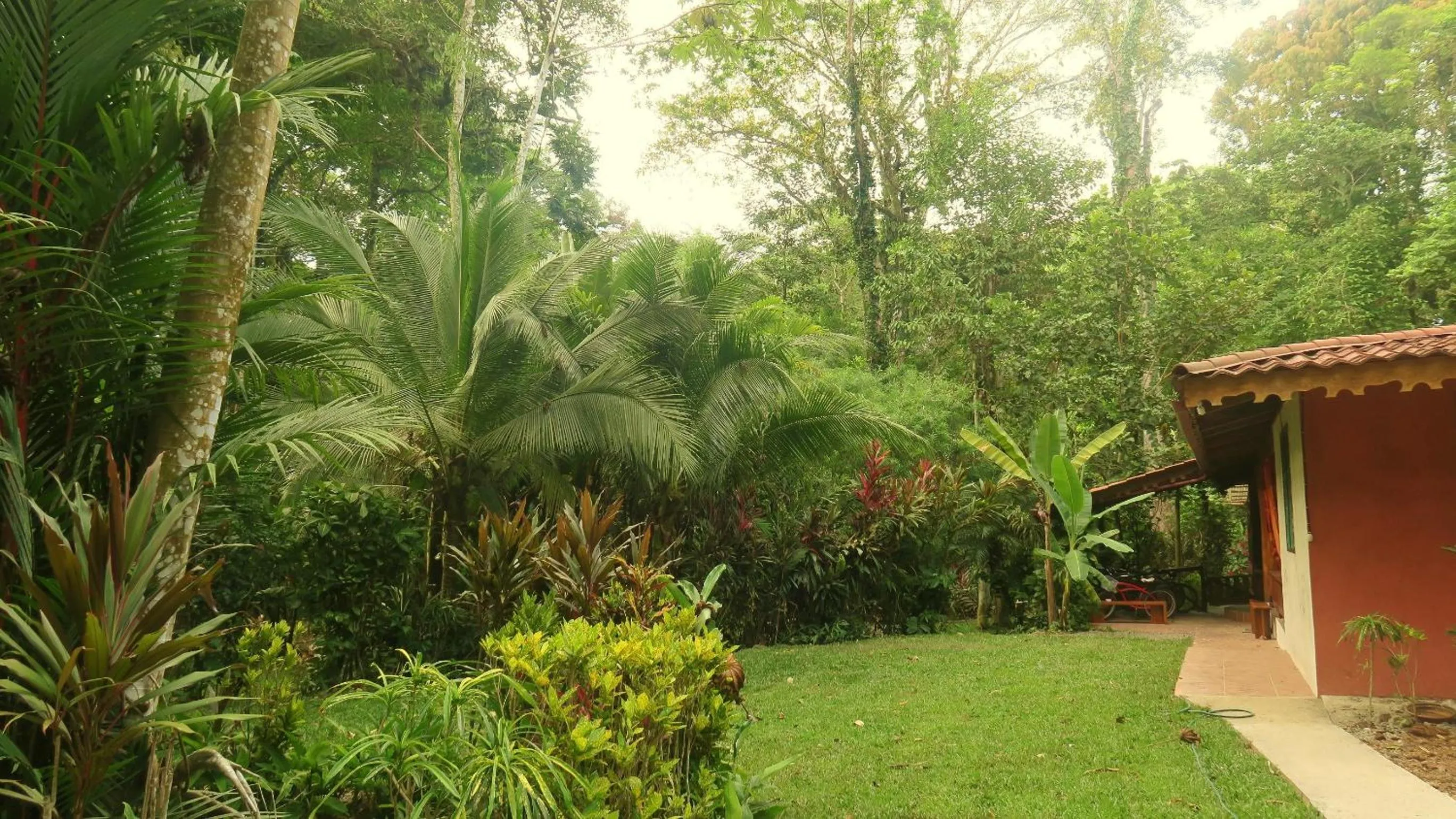 Property building in Casa Moabi