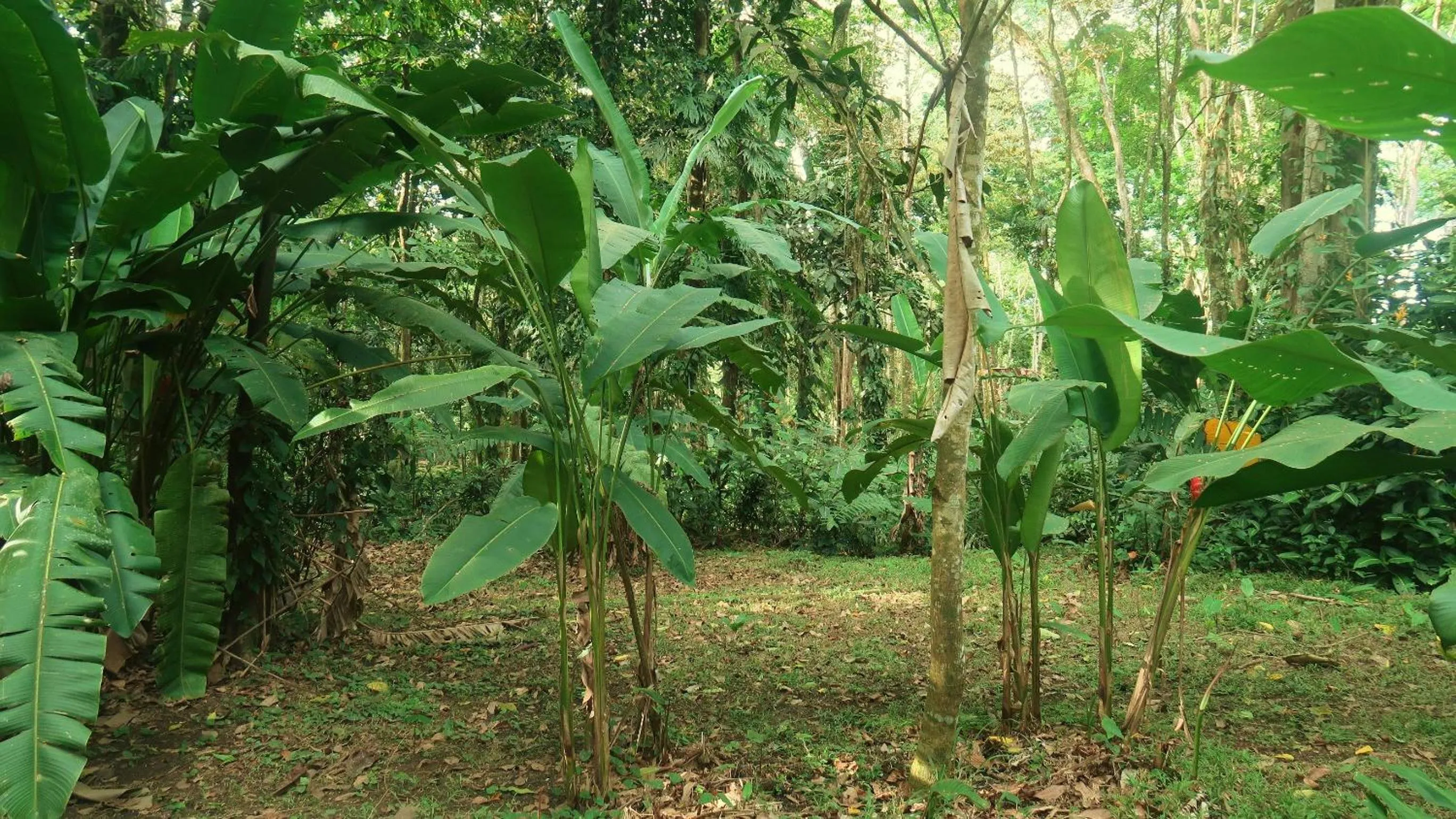 Property building in Casa Moabi