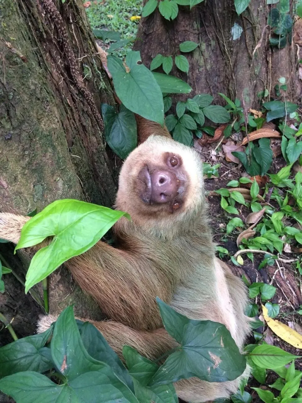 Property building in Casa Moabi