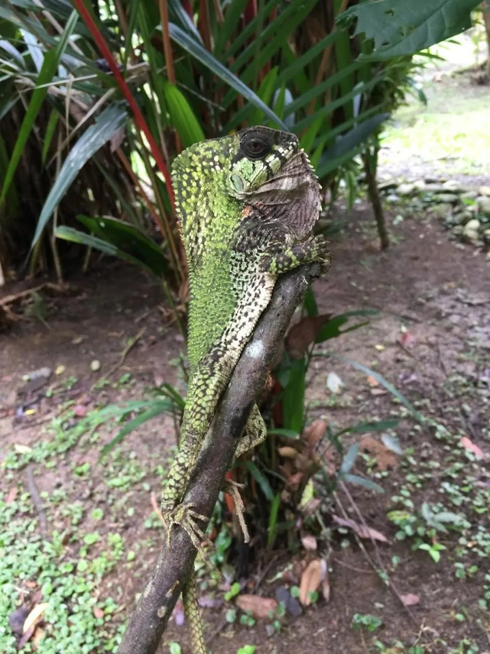 Property building in Casa Moabi