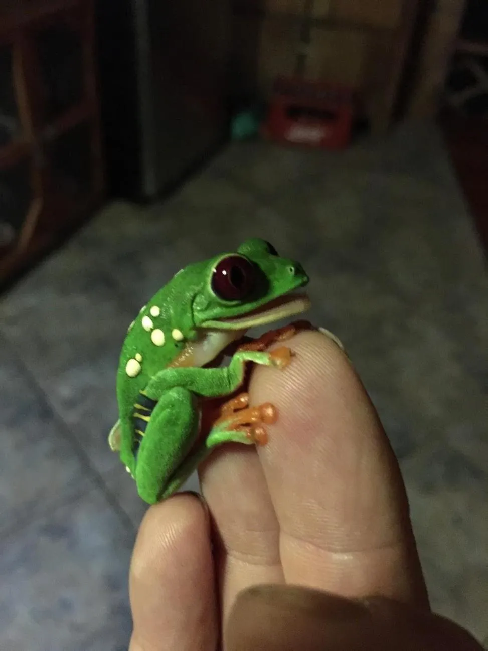 Property building in Casa Moabi