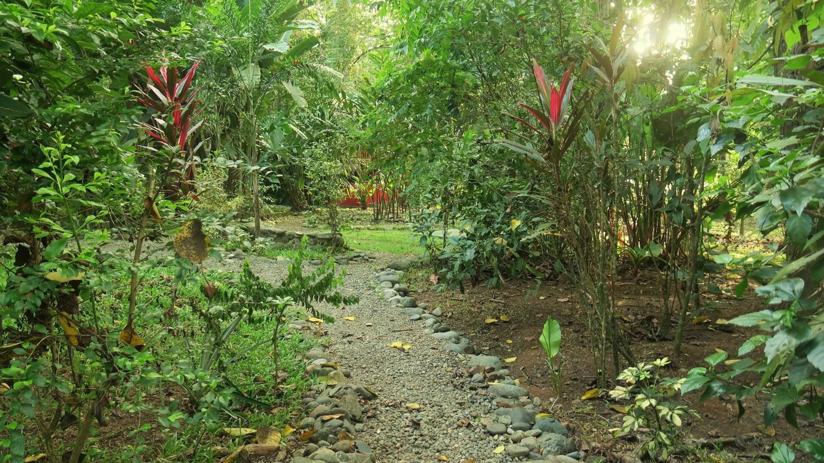 Property building in Casa Moabi