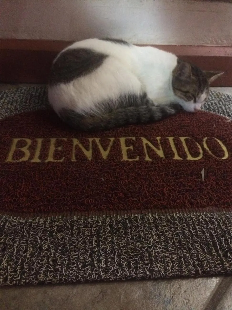 Property building in Casa Moabi