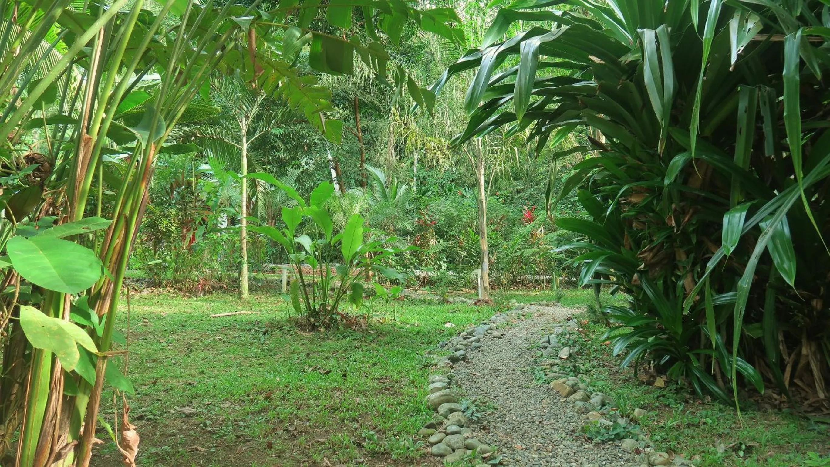 Property building in Casa Moabi