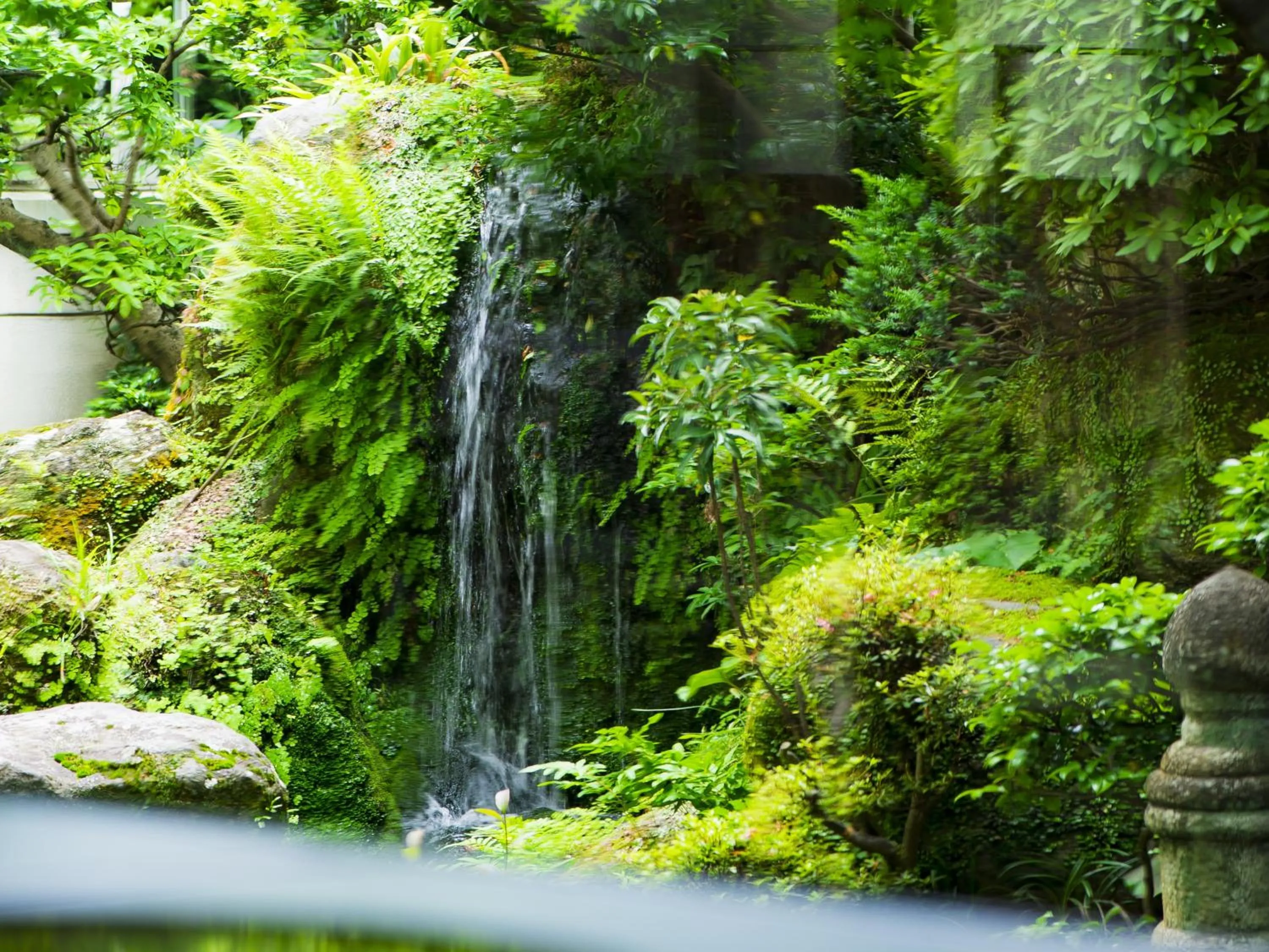 Restaurant/places to eat in Shiragiku