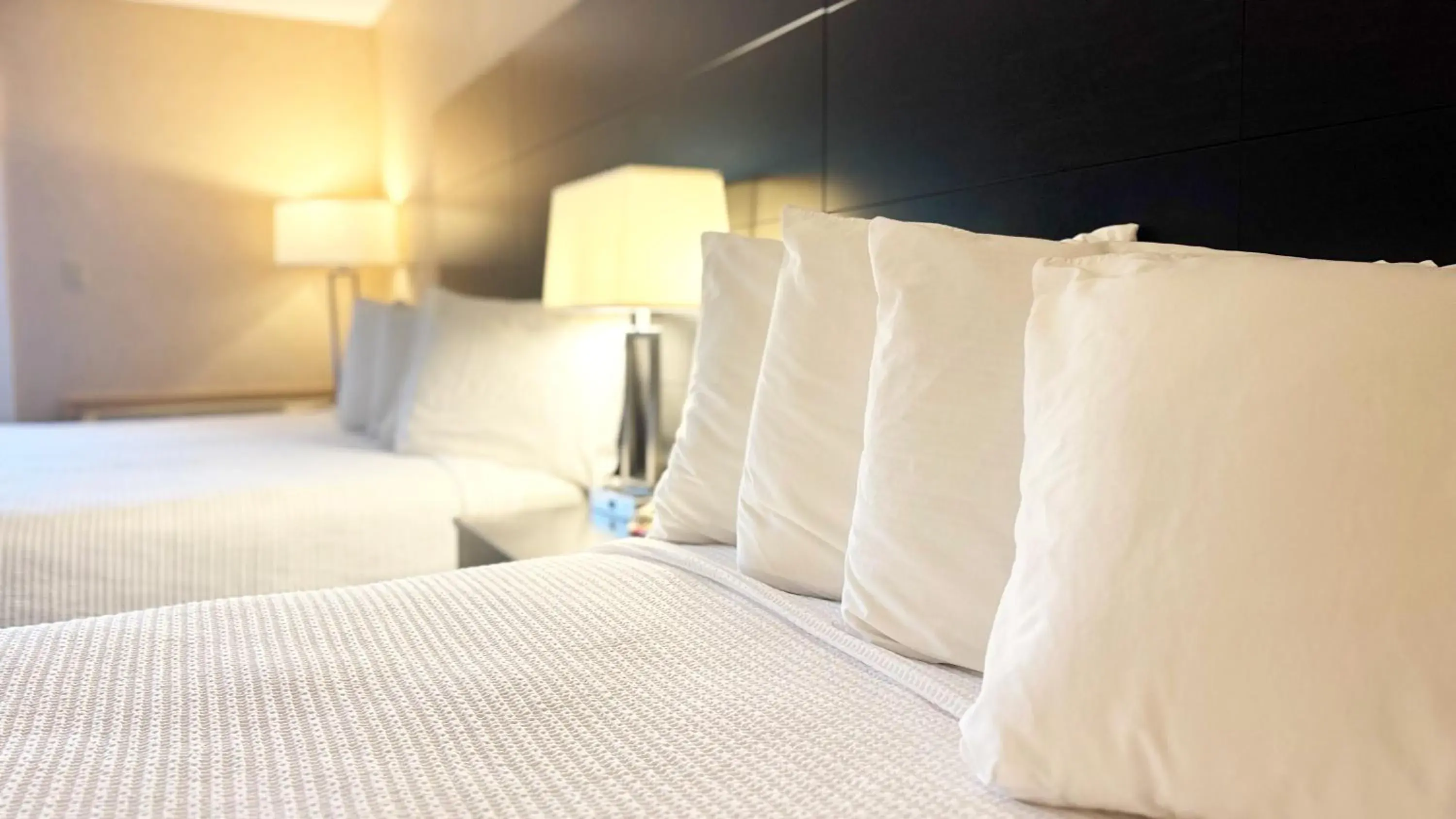 Notch View Room (Located across the street from the main resort) in Indian Head Resort Notch View Room (Located across the street from the main resort) in Indian Head Resort