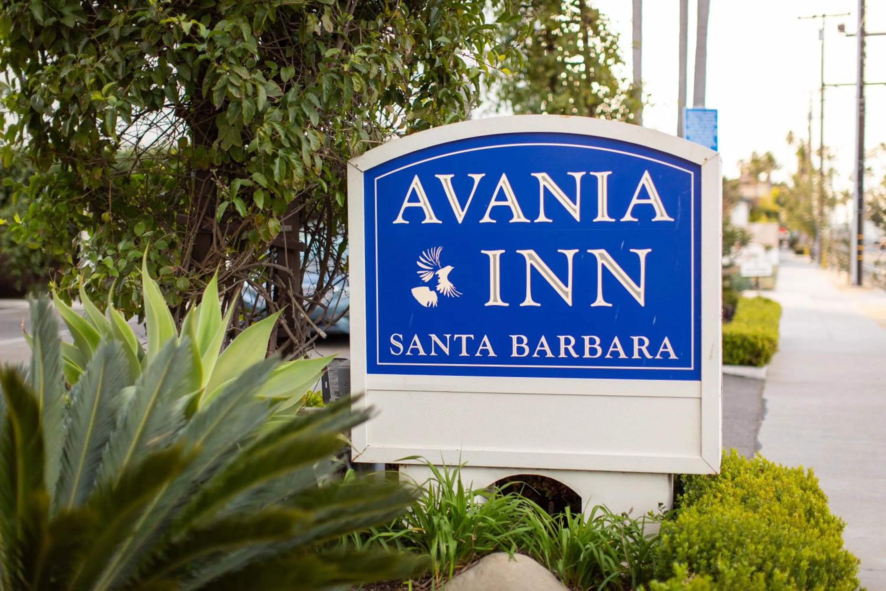 Property logo or sign in Avania Inn of Santa Barbara