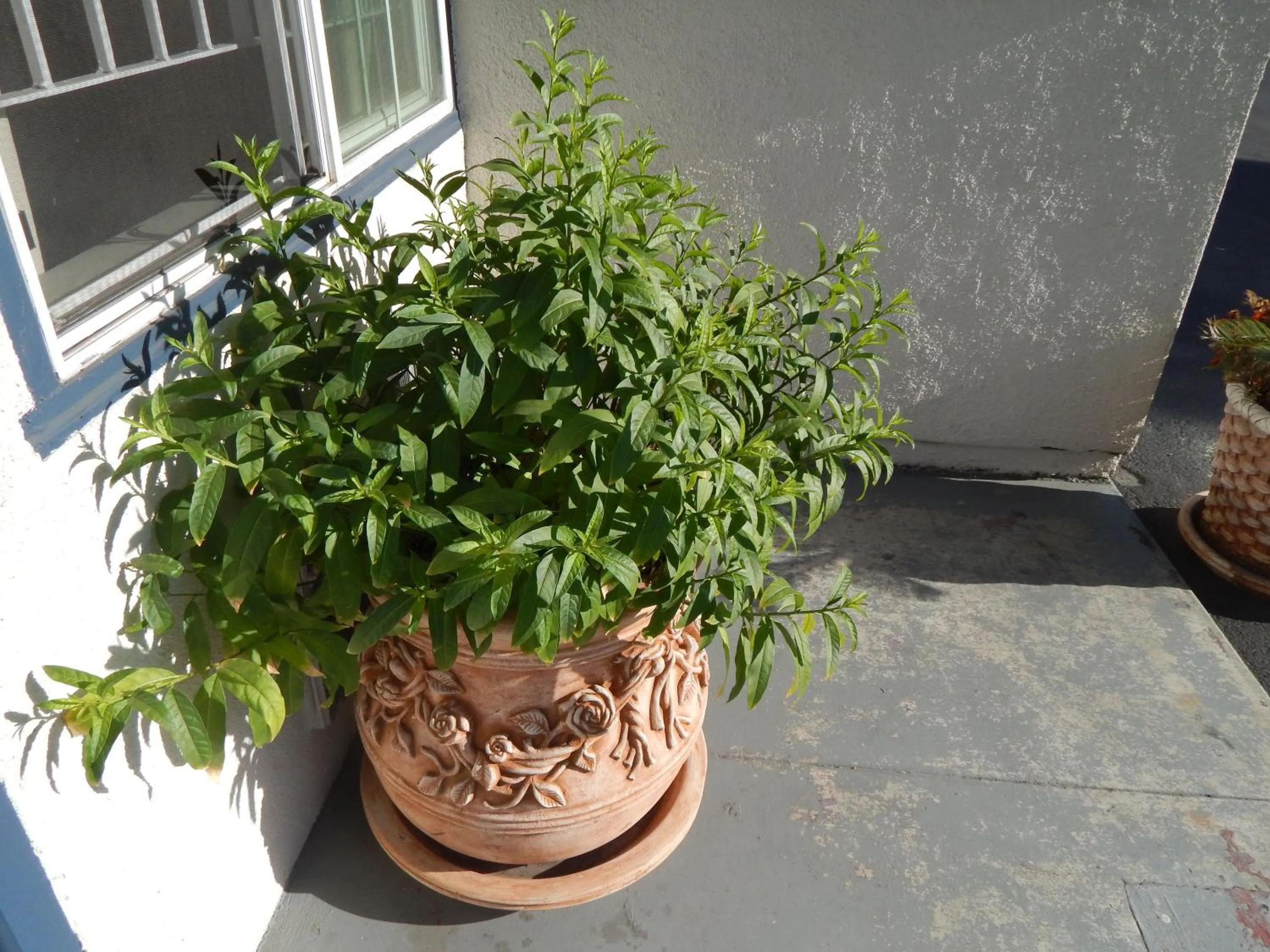 Other in Bay Bridge Inn Oakland