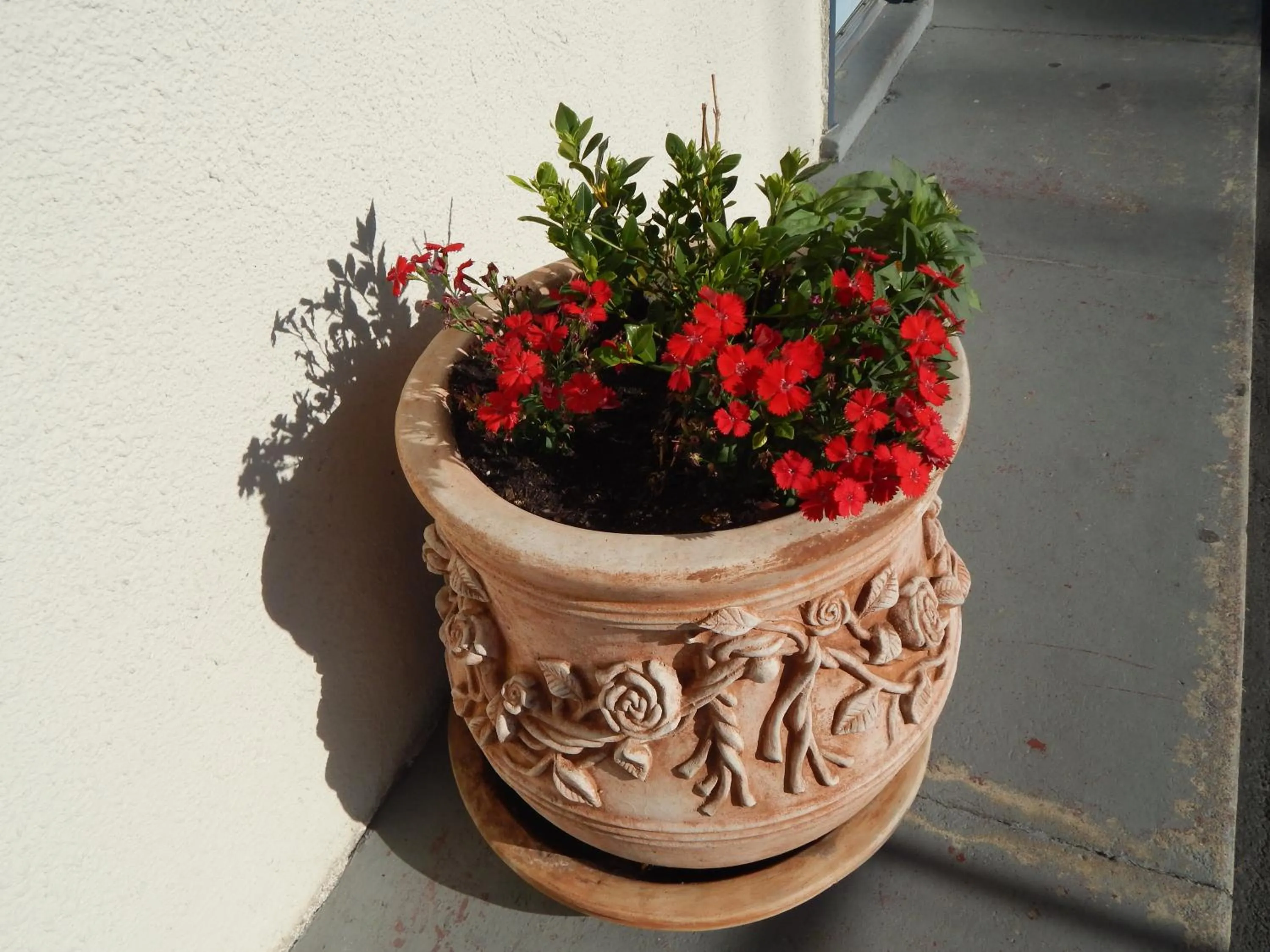 Other in Bay Bridge Inn Oakland