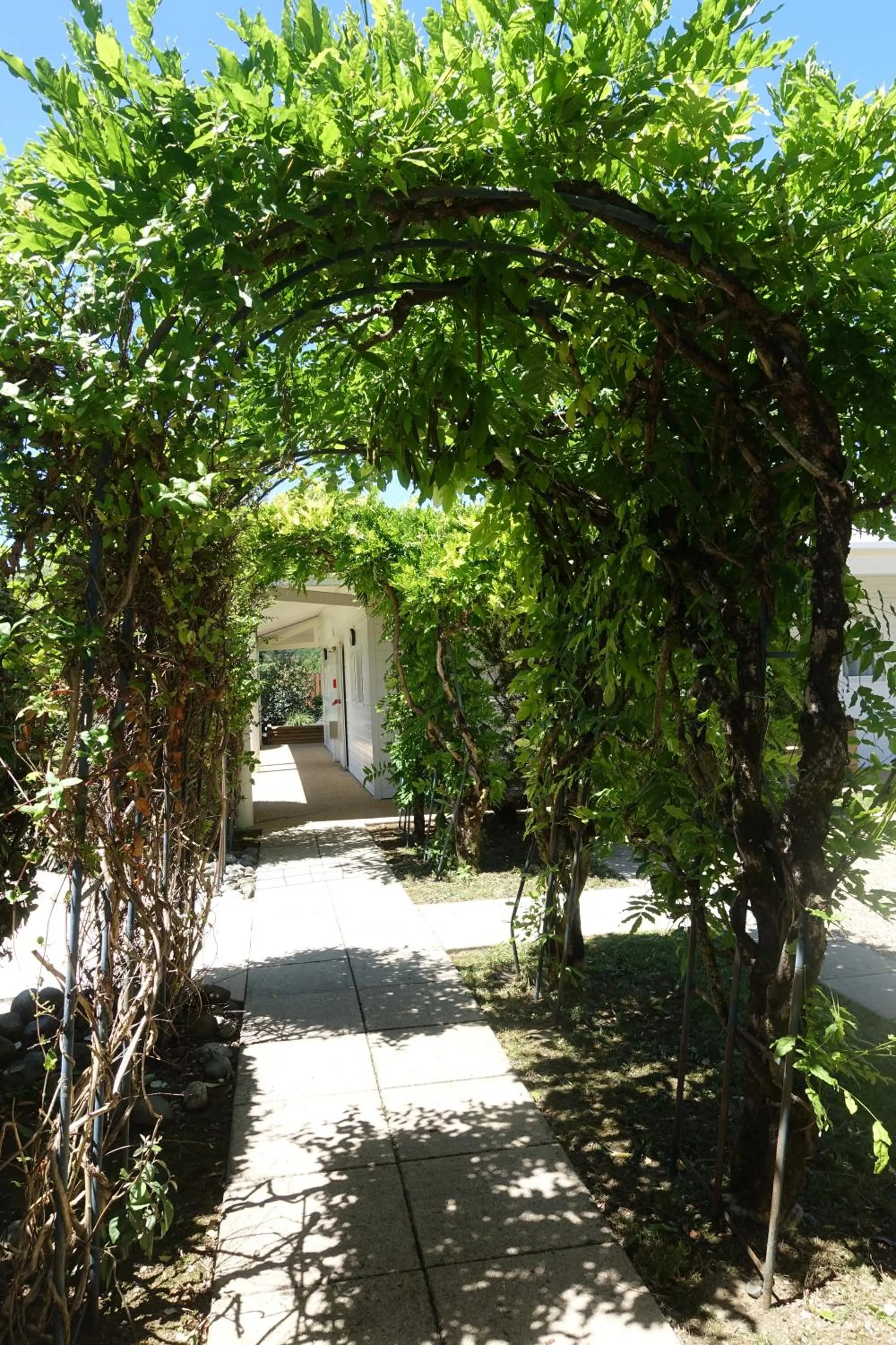 Garden in Hôtel Grand Confort Le Moulin Rouge
