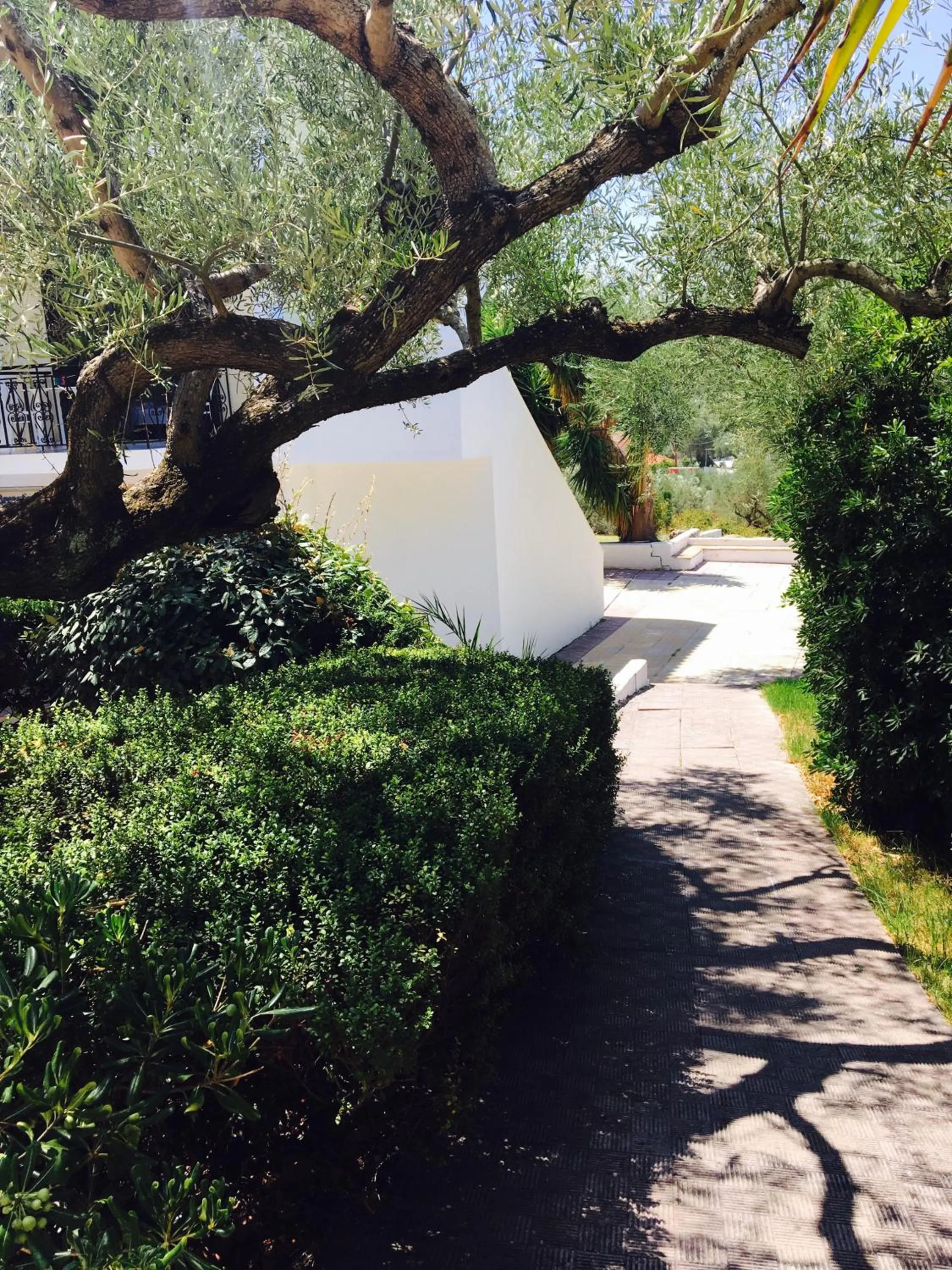 Natural landscape in Lofos Strani