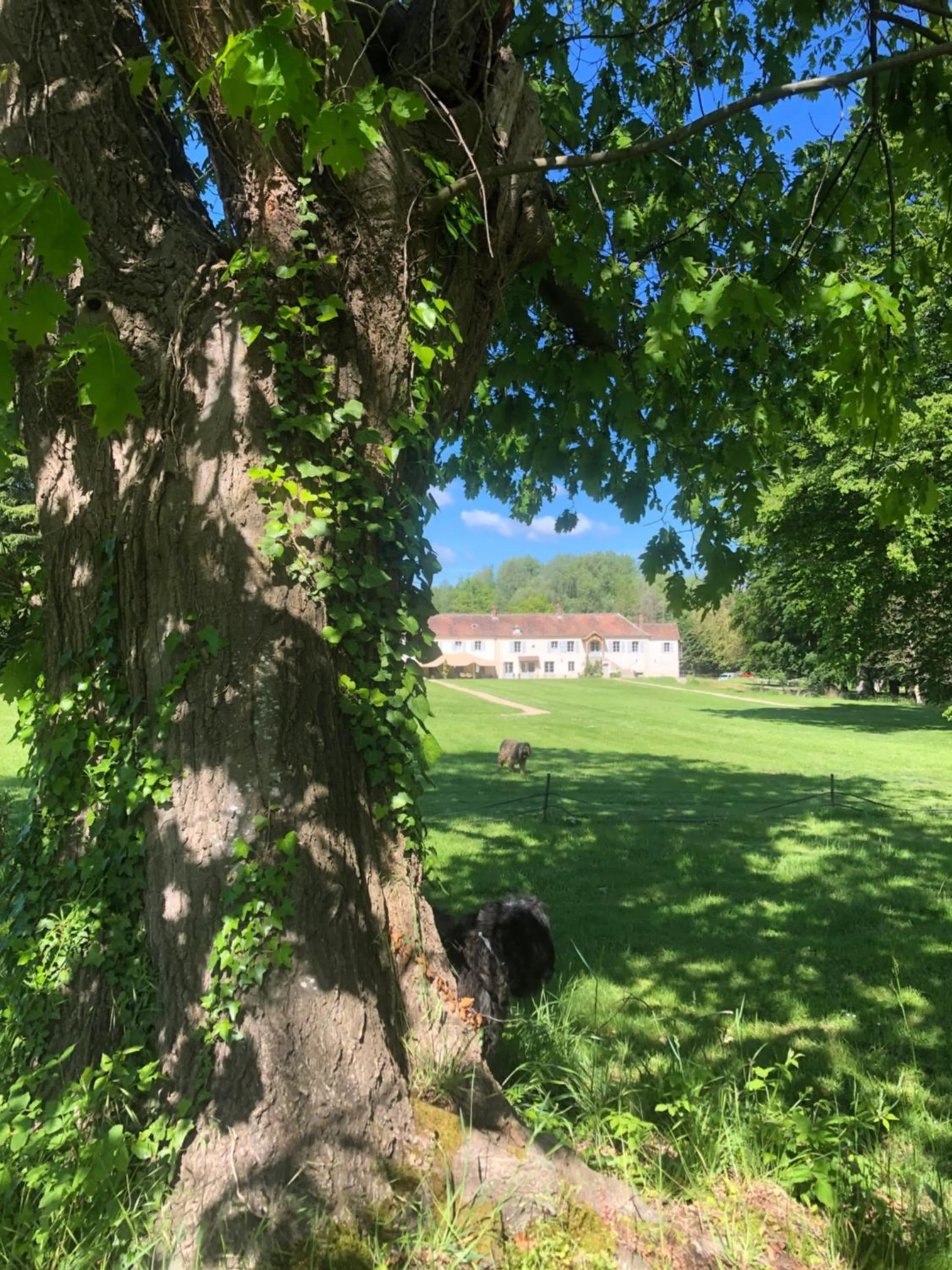 Garden view in Domaine du Plessis