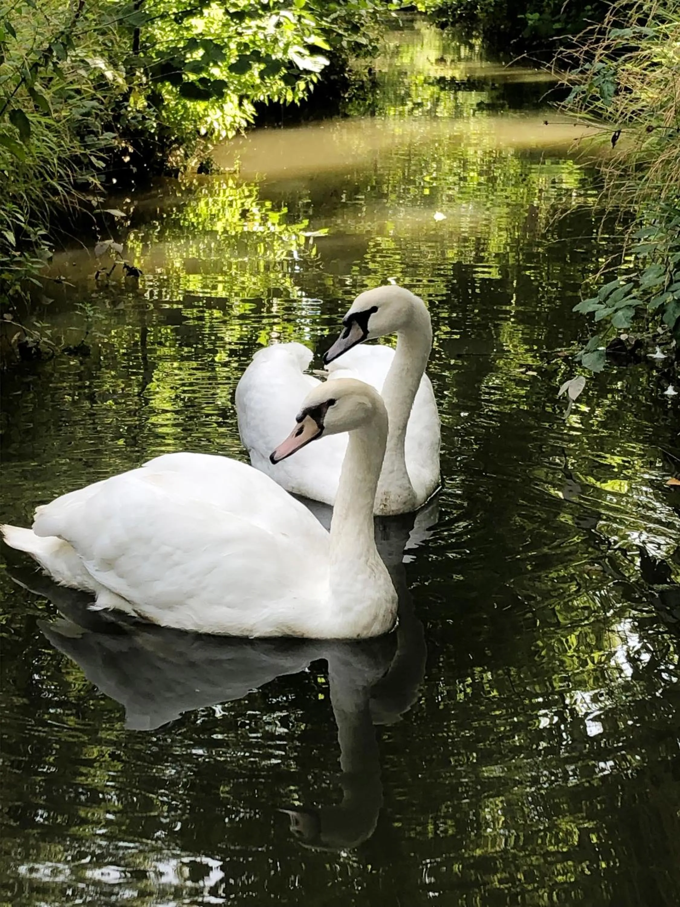 Animals in Domaine du Plessis