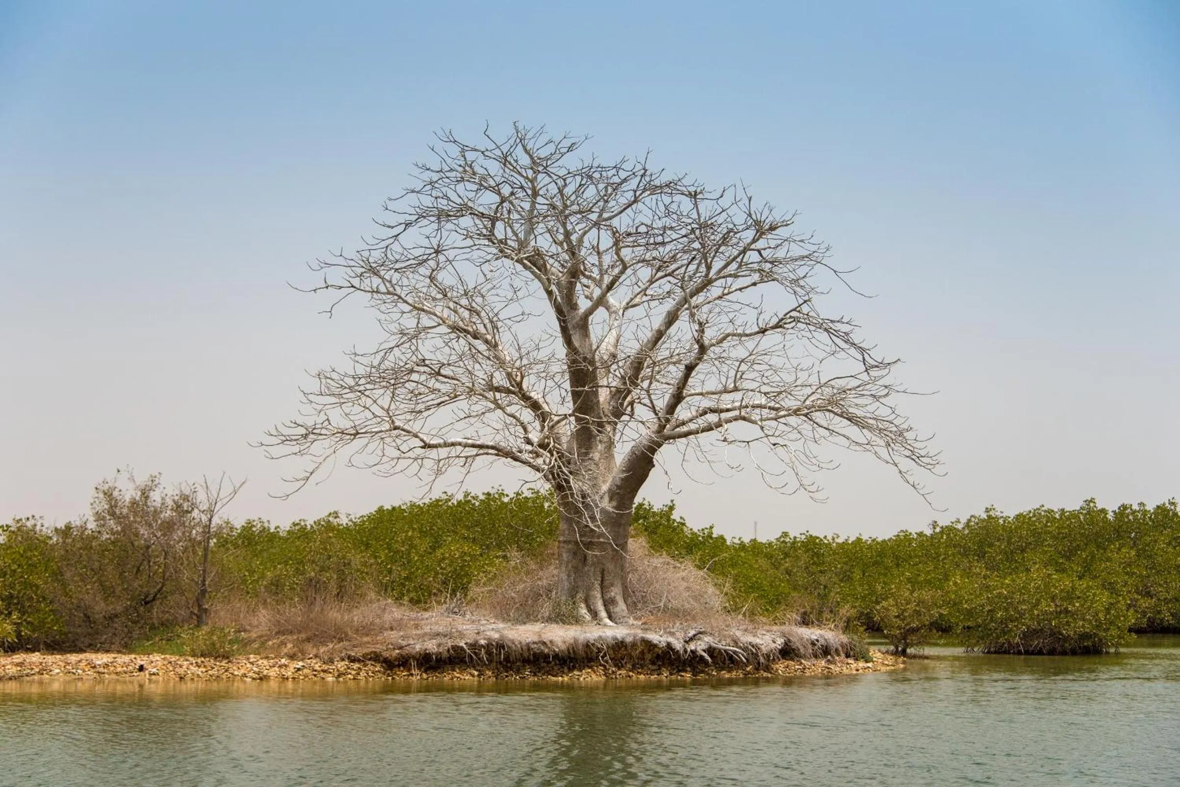 Natural landscape in Le Saly Hotel & Hotel Club Filaos - All Inclusive