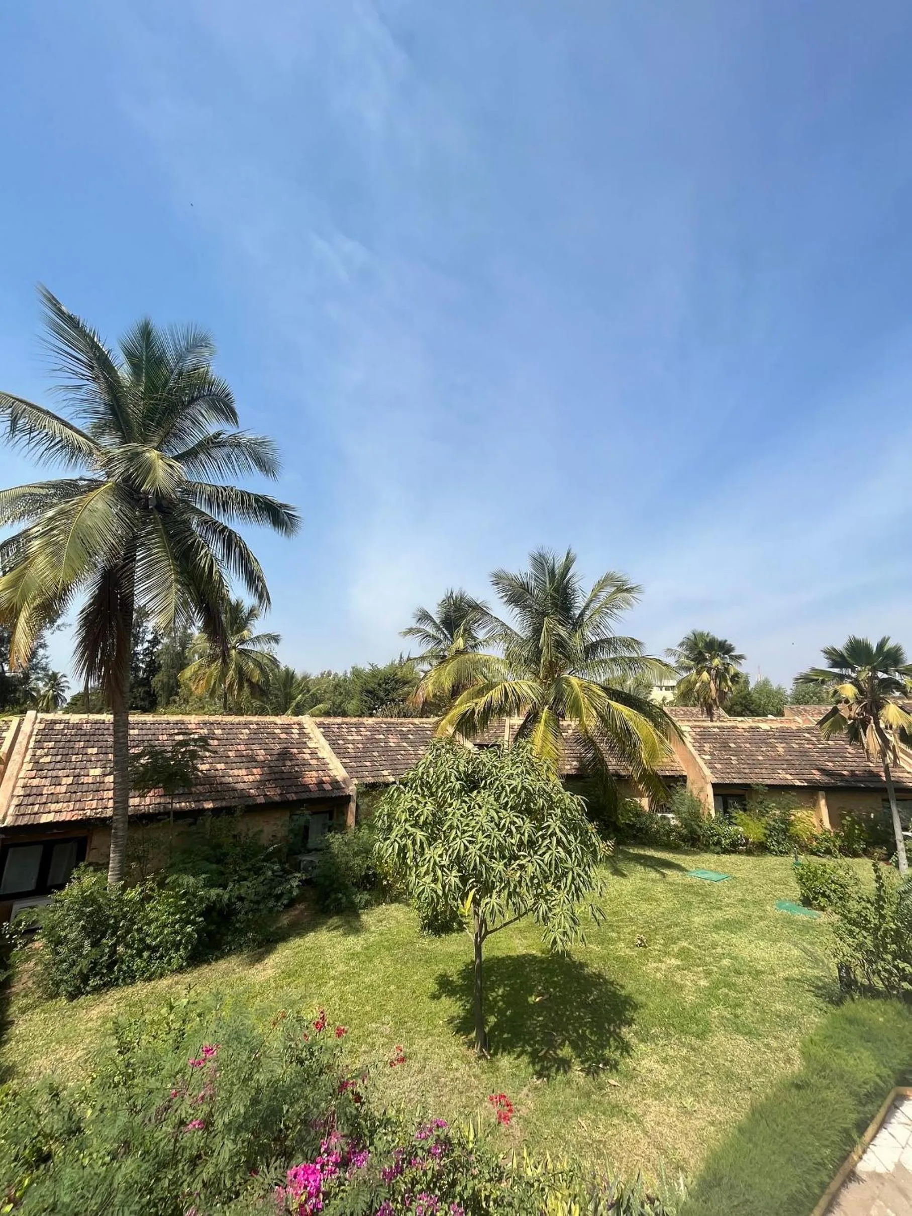 Garden in Le Saly Hotel & Hotel Club Filaos - All Inclusive