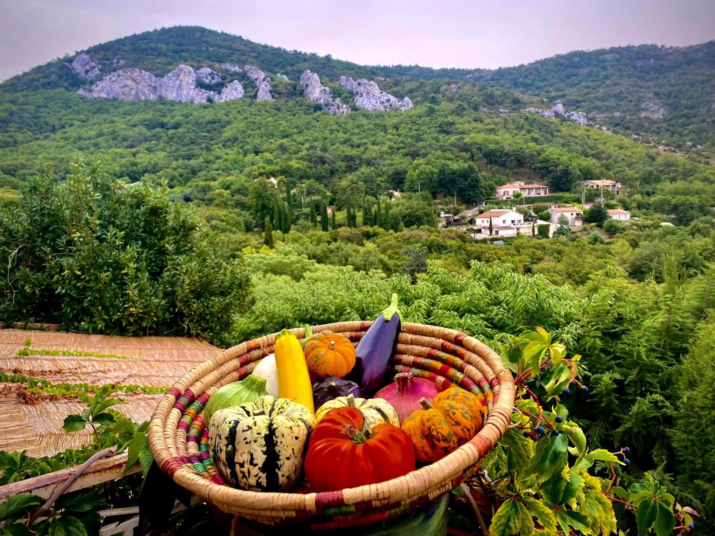 Logis Hotel Restaurant Le Grand Puech