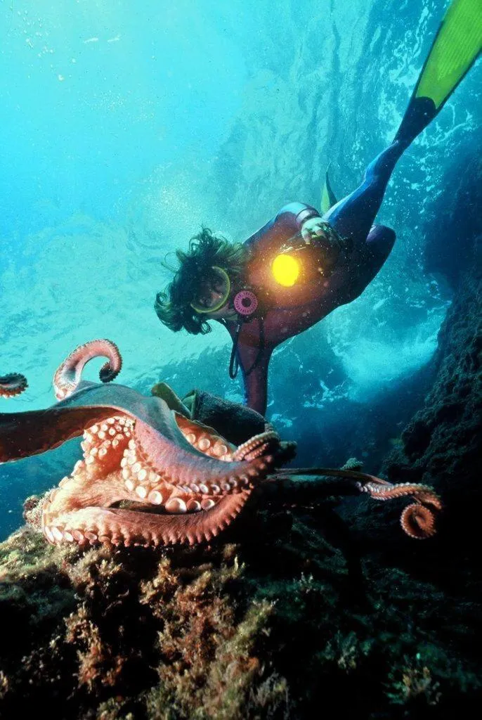 Snorkeling in Logis Hotel Restaurant Le Grand Puech