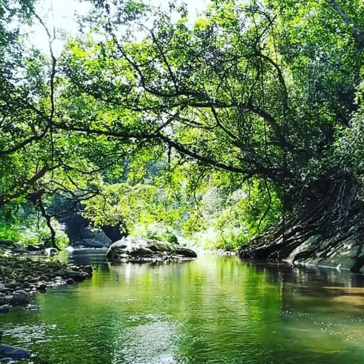 River view in Ella Jungle Resort
