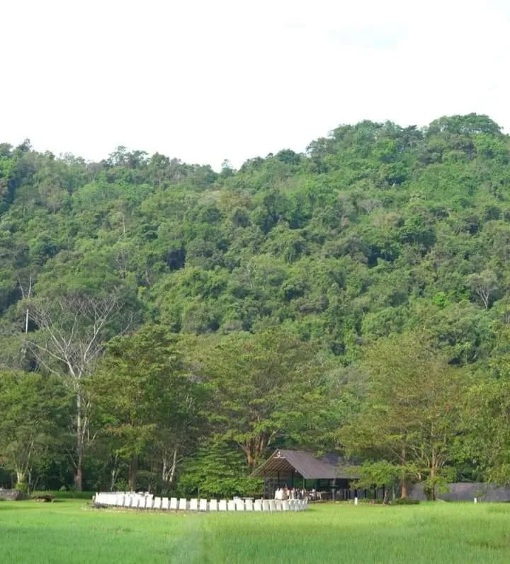 Natural landscape in Ella Jungle Resort