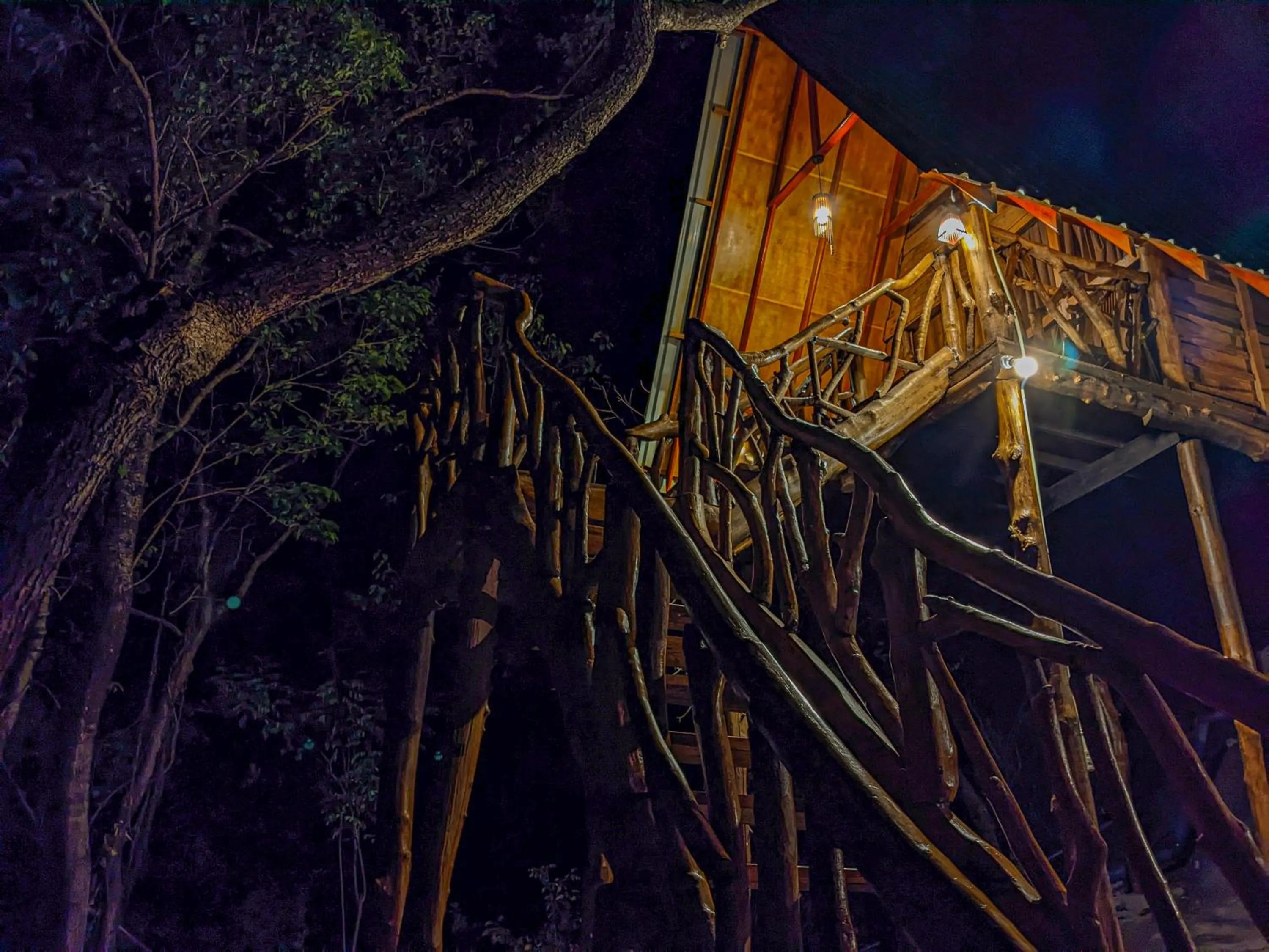 Night in Sigiri Choona Lodge 'unique sunrise viewpoint'