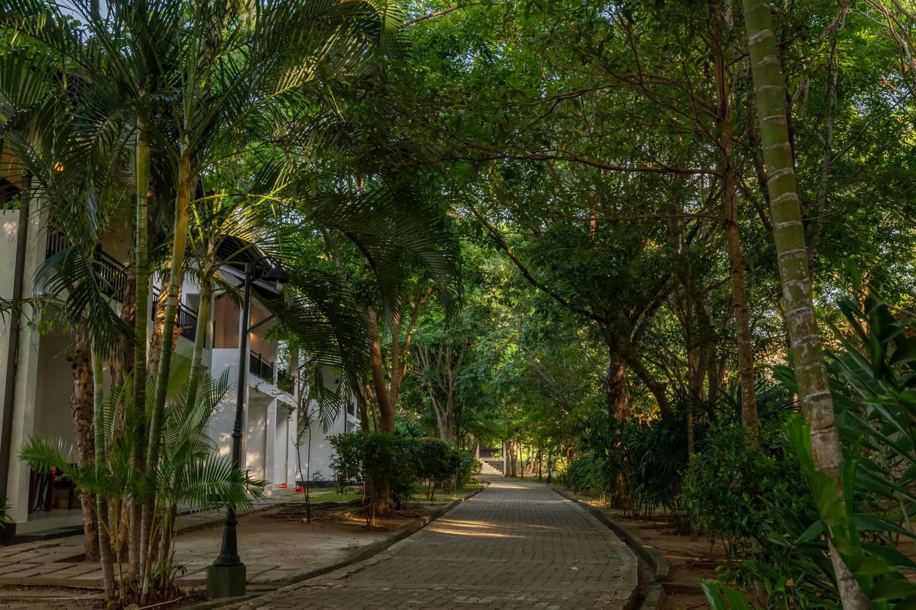 Garden in Oak Ray Elephant Lake