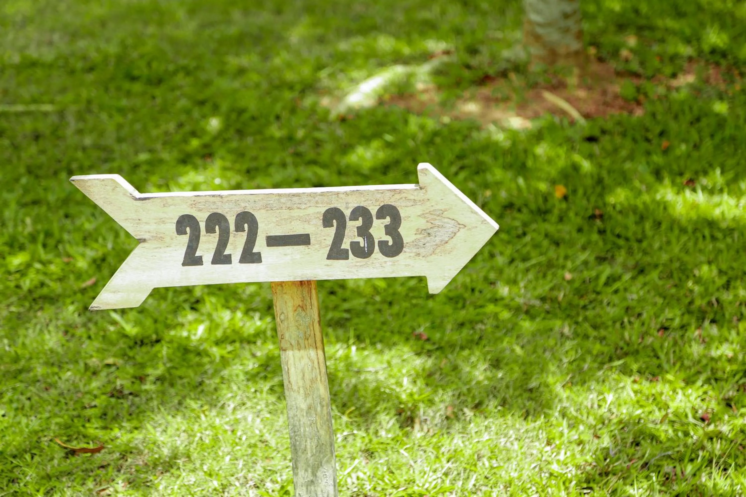 Other in Oak Ray Elephant Lake