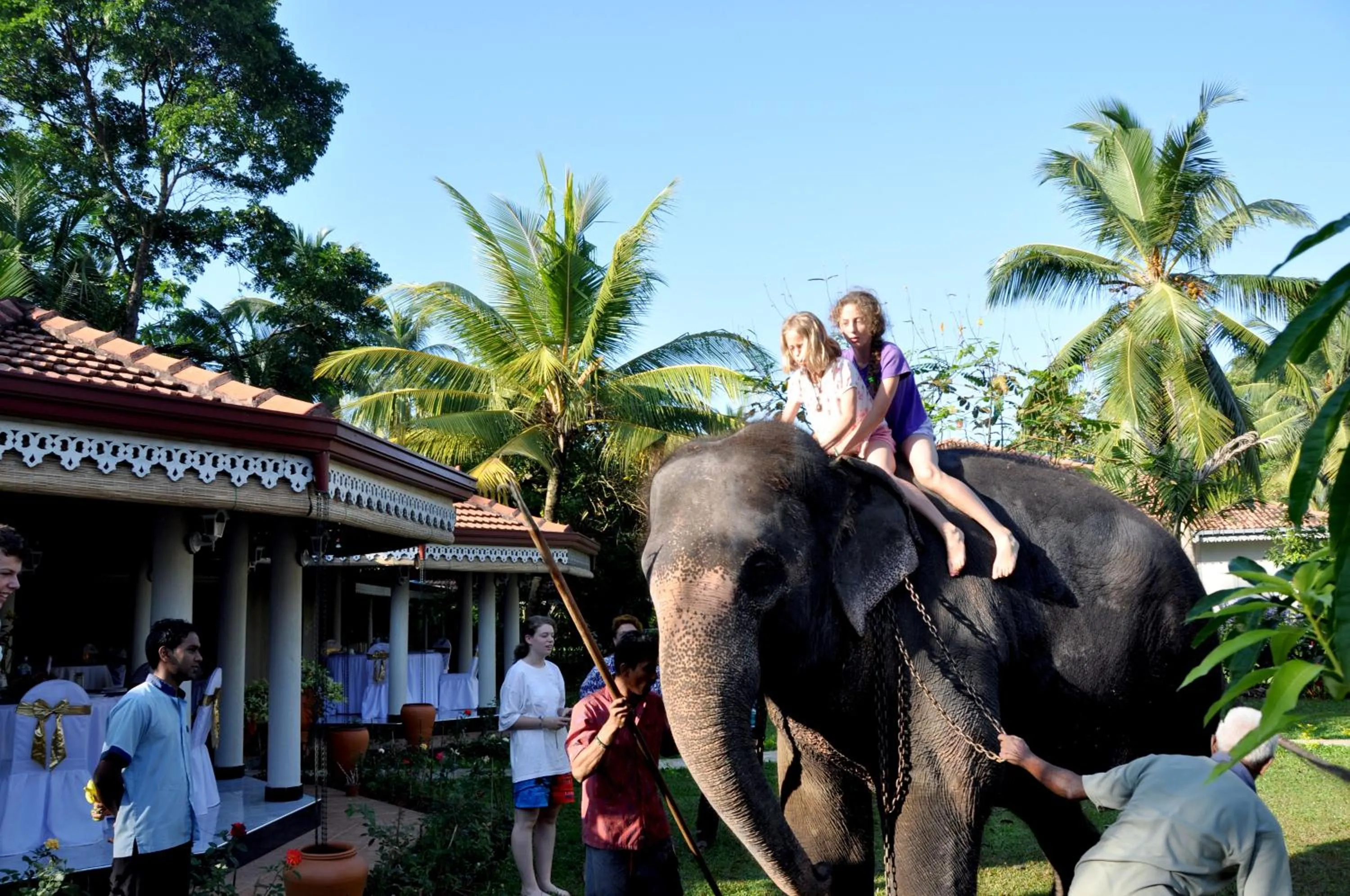 Area and facilities in Bougain Villa