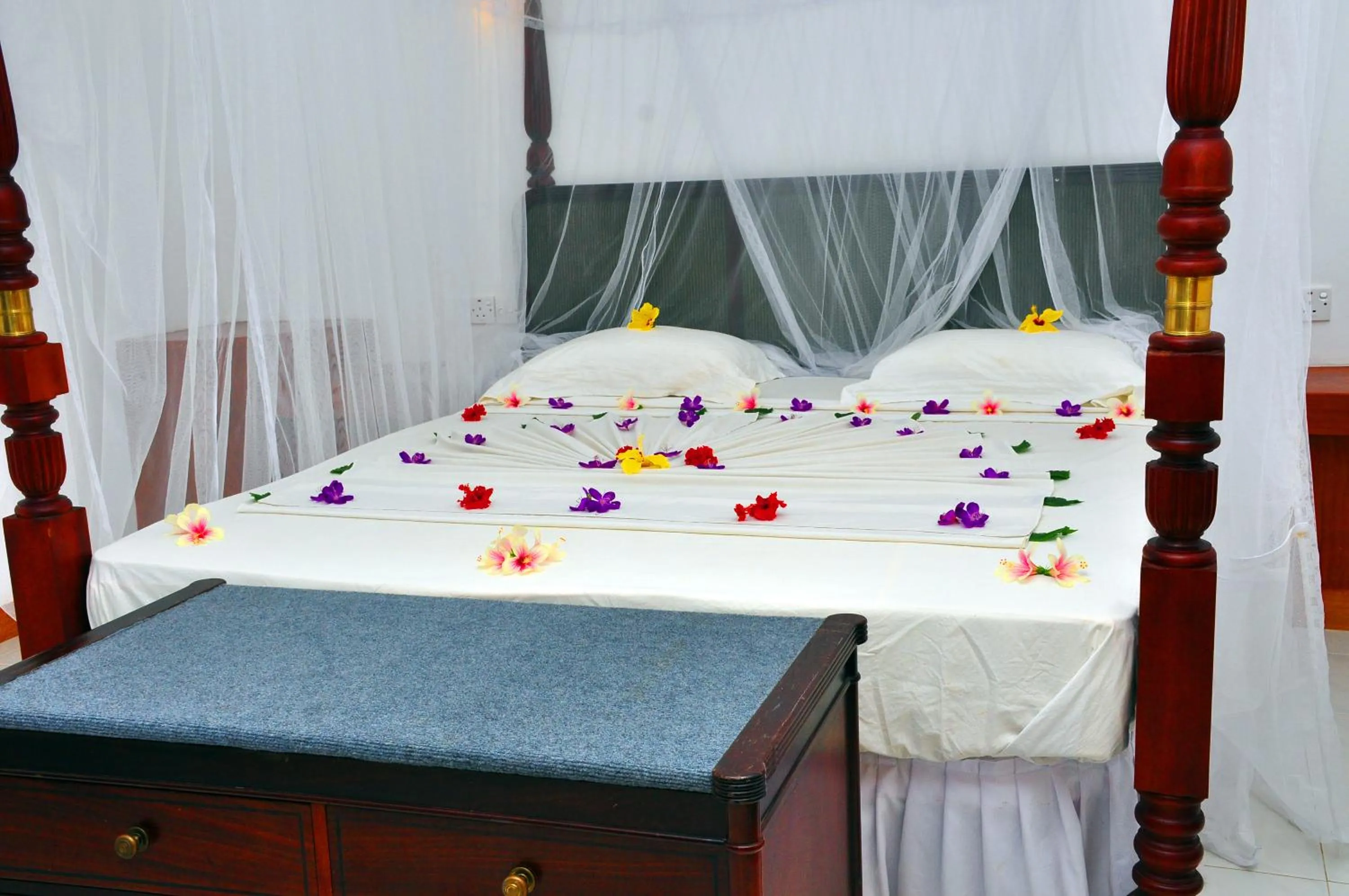 Bed in Bougain Villa