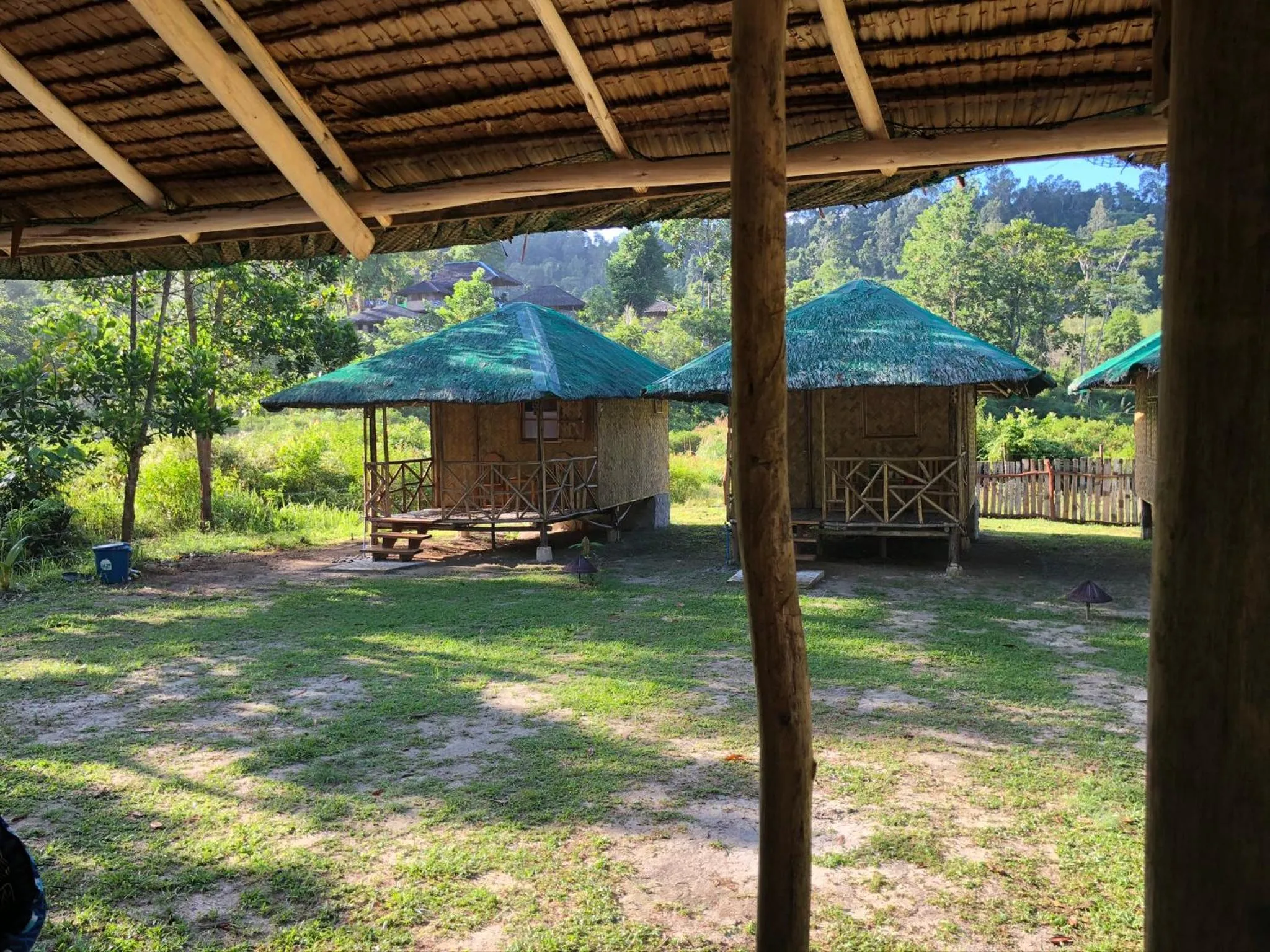 Garden view in Back Trippers Inn