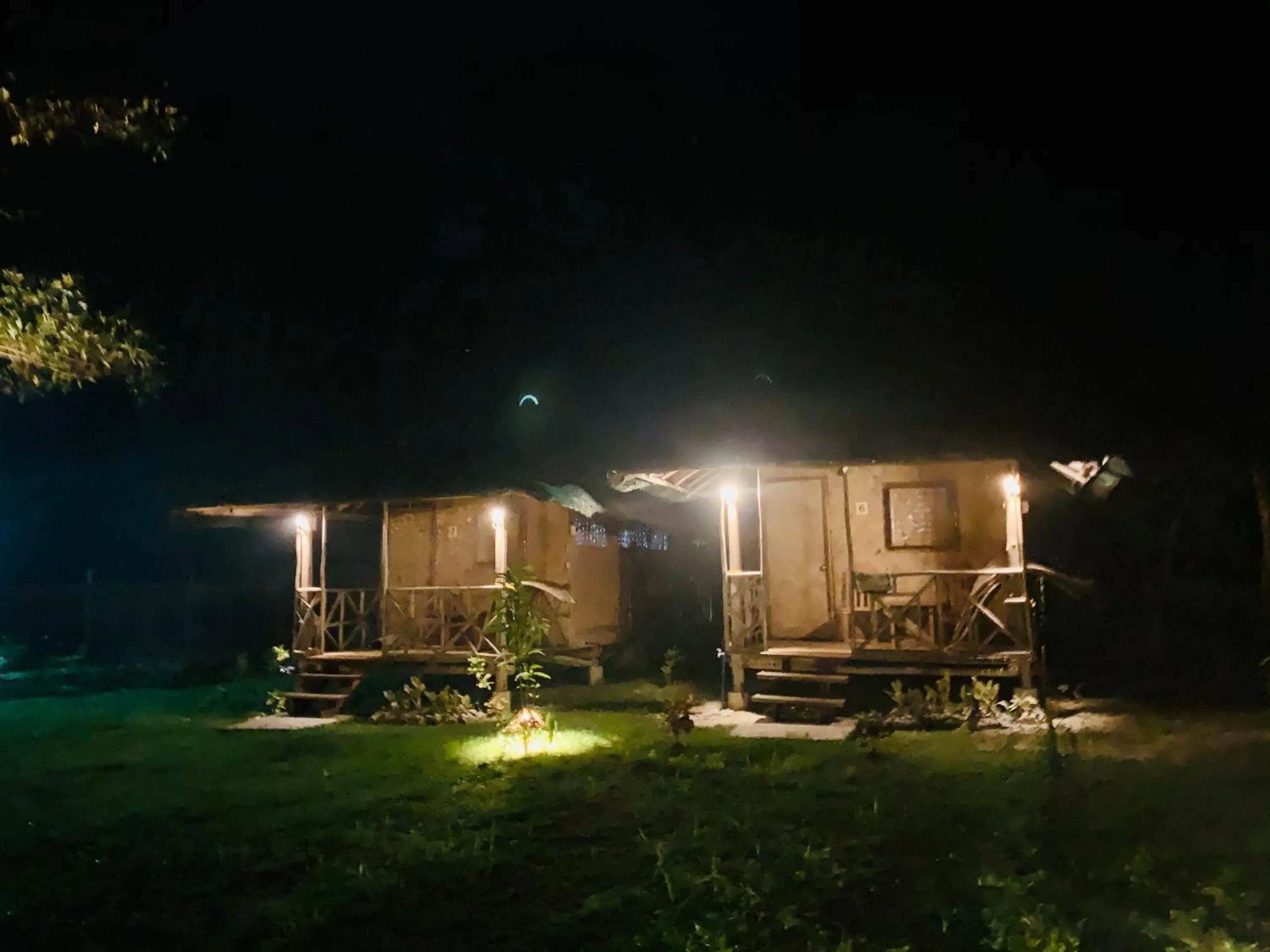 Garden view in Back Trippers Inn