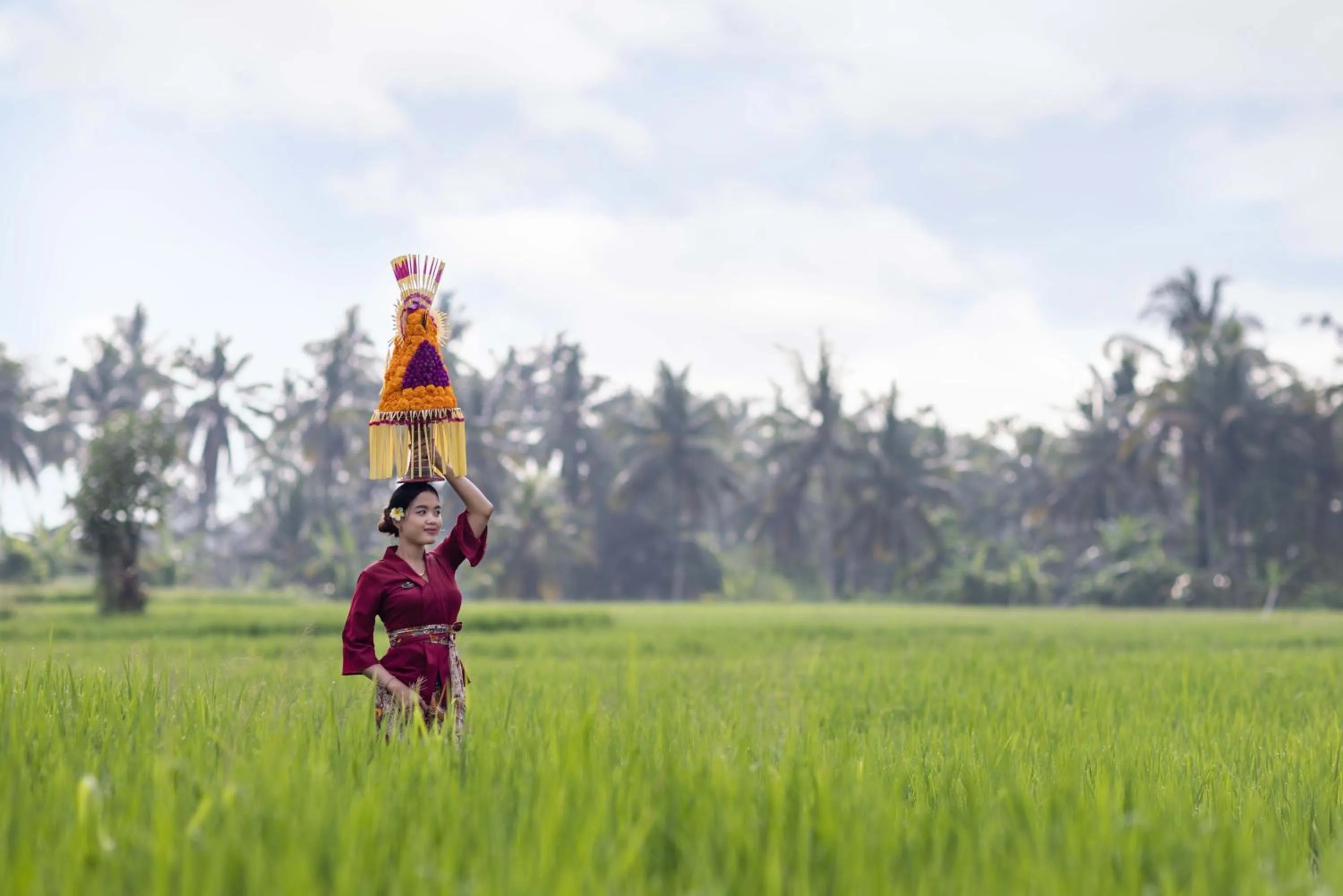 Activities in The Kalyana Ubud Resort