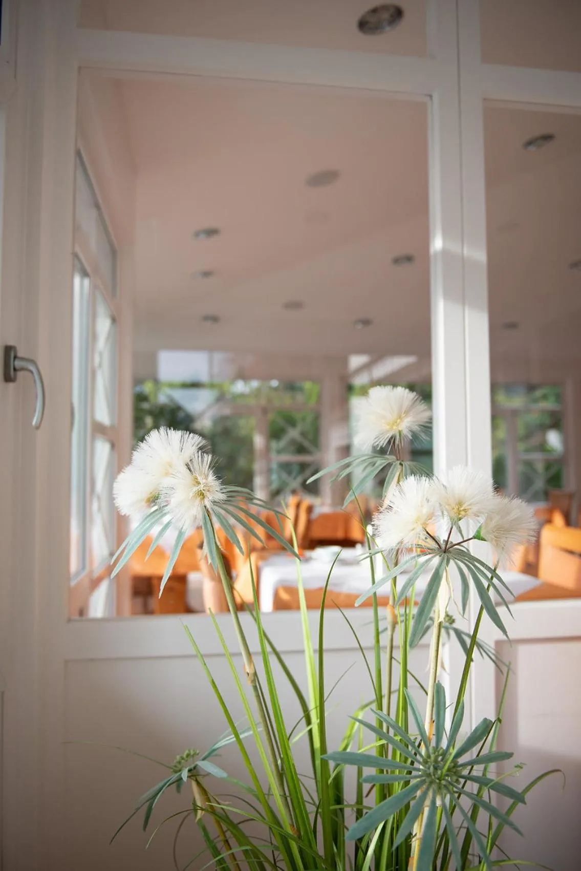 Hotel Angermeier GARNI