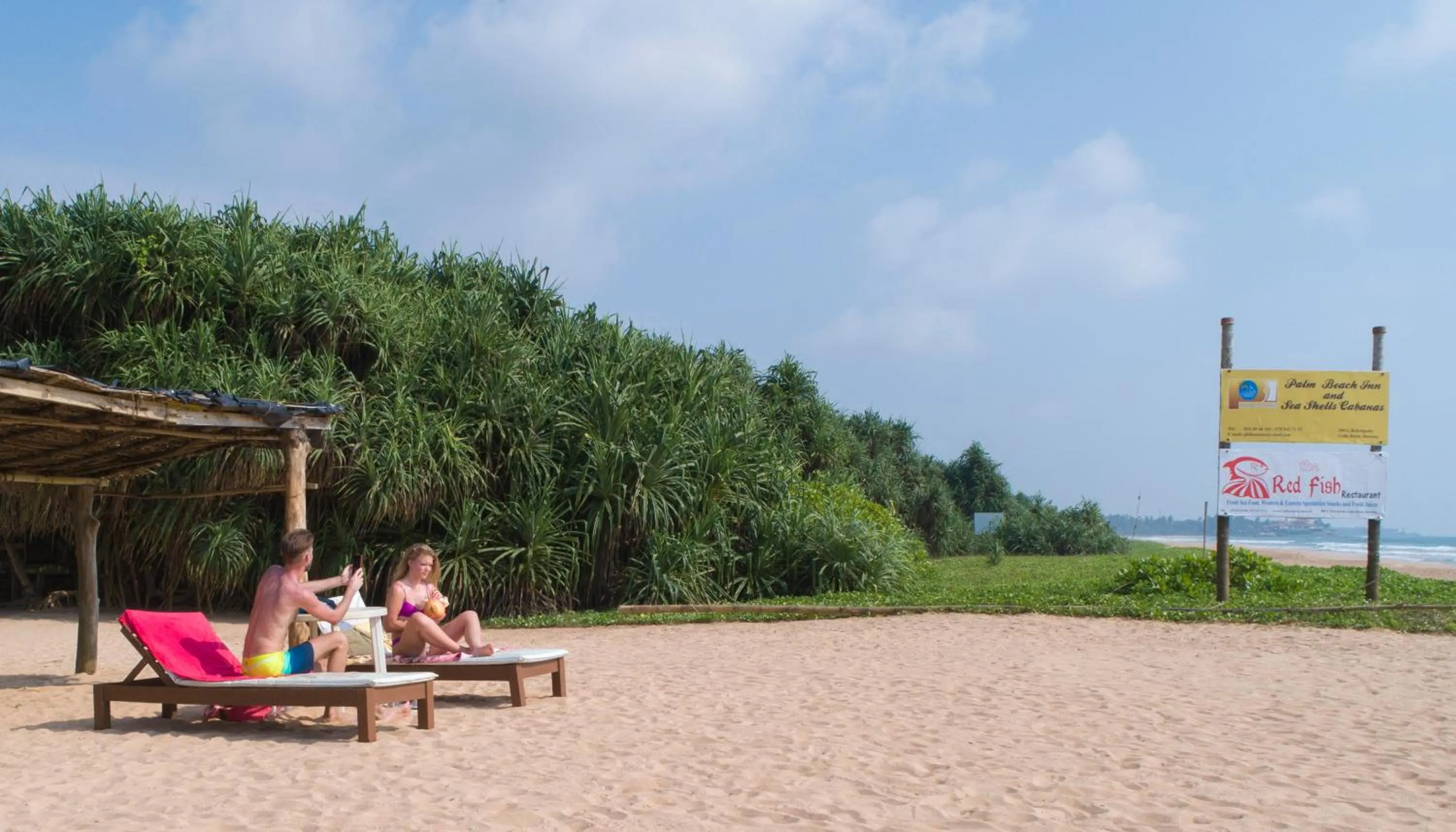 Beach in Palm Beach Inn & Sea Shells Cabanas