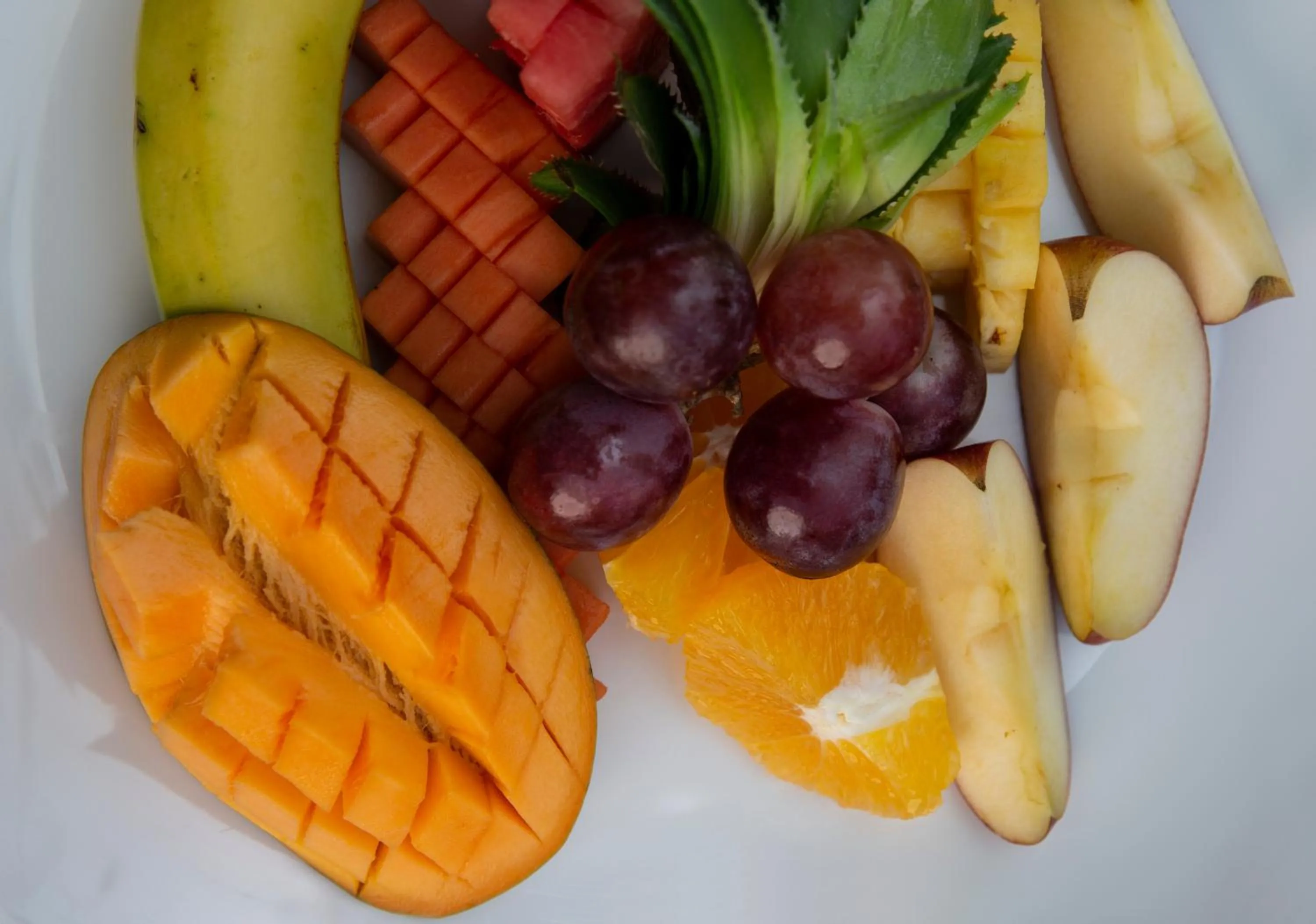 Food close-up in Palm Beach Inn & Sea Shells Cabanas