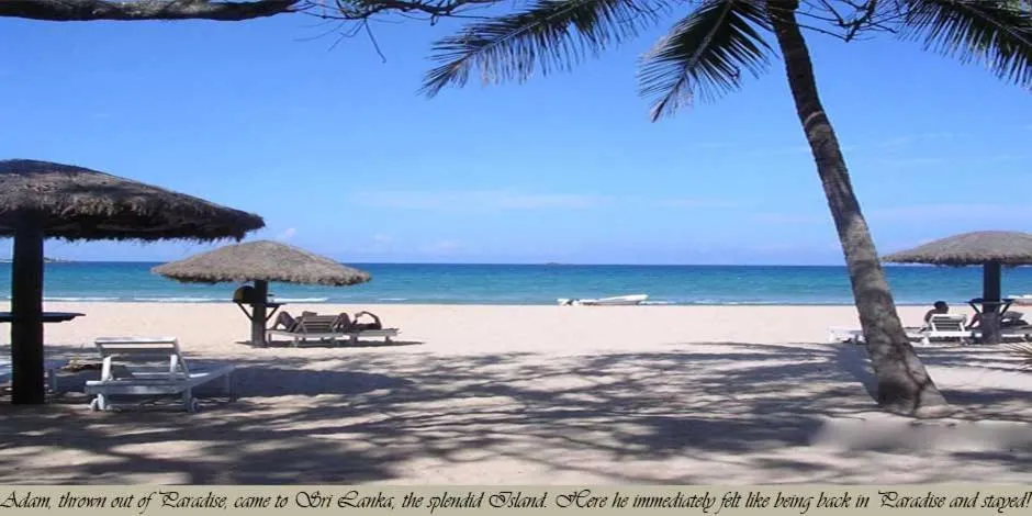 Secret Escape Nilaveli Ayurveda Hotel & Spa