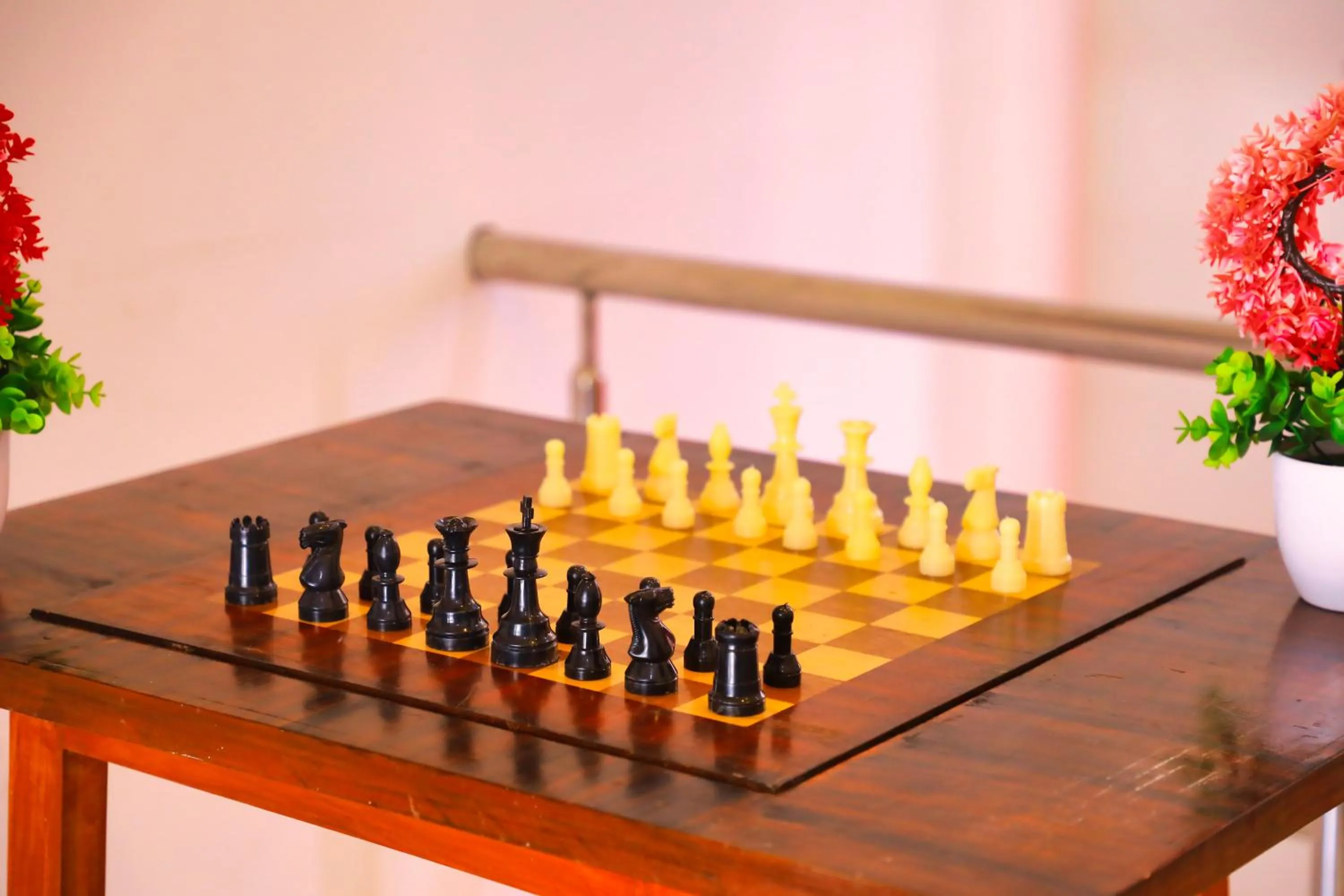 Entertainment in SS Silver Oaks Resort